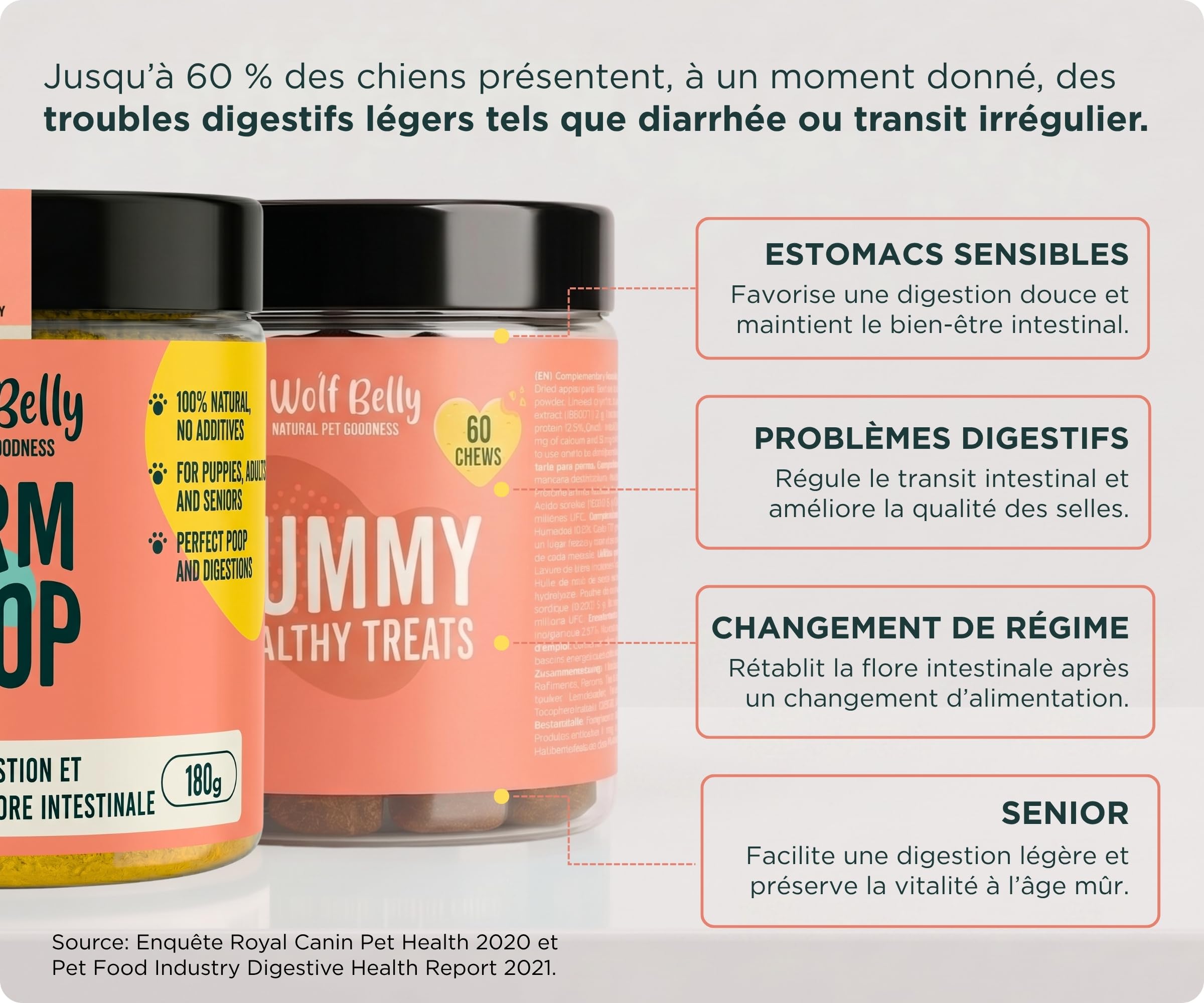 Wolf Belly - Pack Digestif pour Chiens | Complément Digestif en Poudre + Friandises aux Probiotiques | Réduit la Diarrhée | Améliore la Flore Intestinale - Fabriqué en Europe