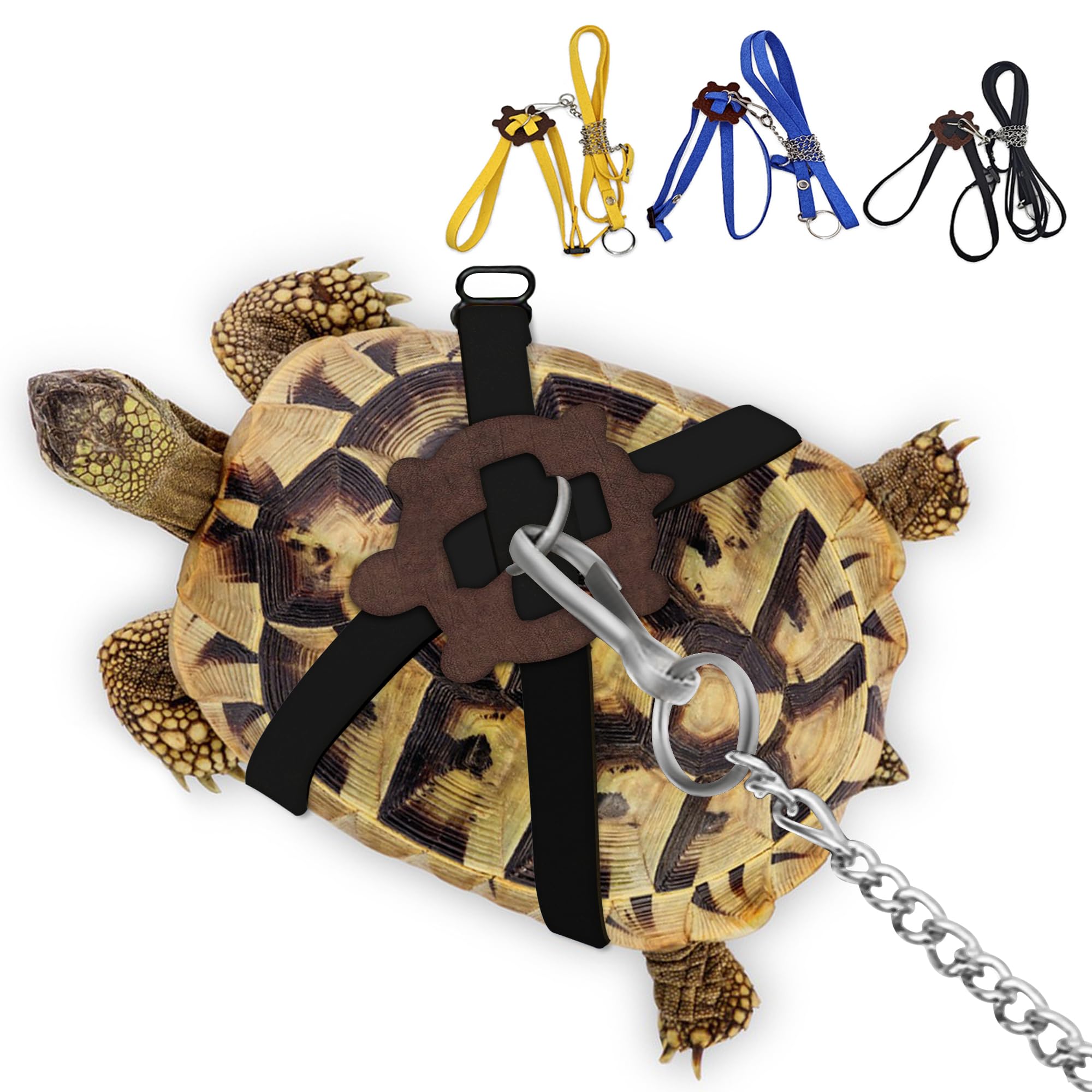 Harnais en Cuir pour Petite Tortue avec Laisse Réglable Noir M