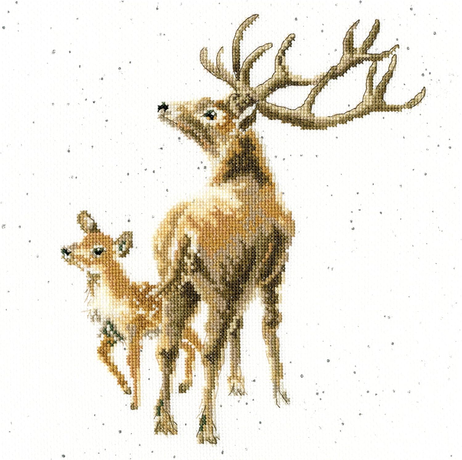 Bothy Threads Wild at Heart Cross Stitch Kit