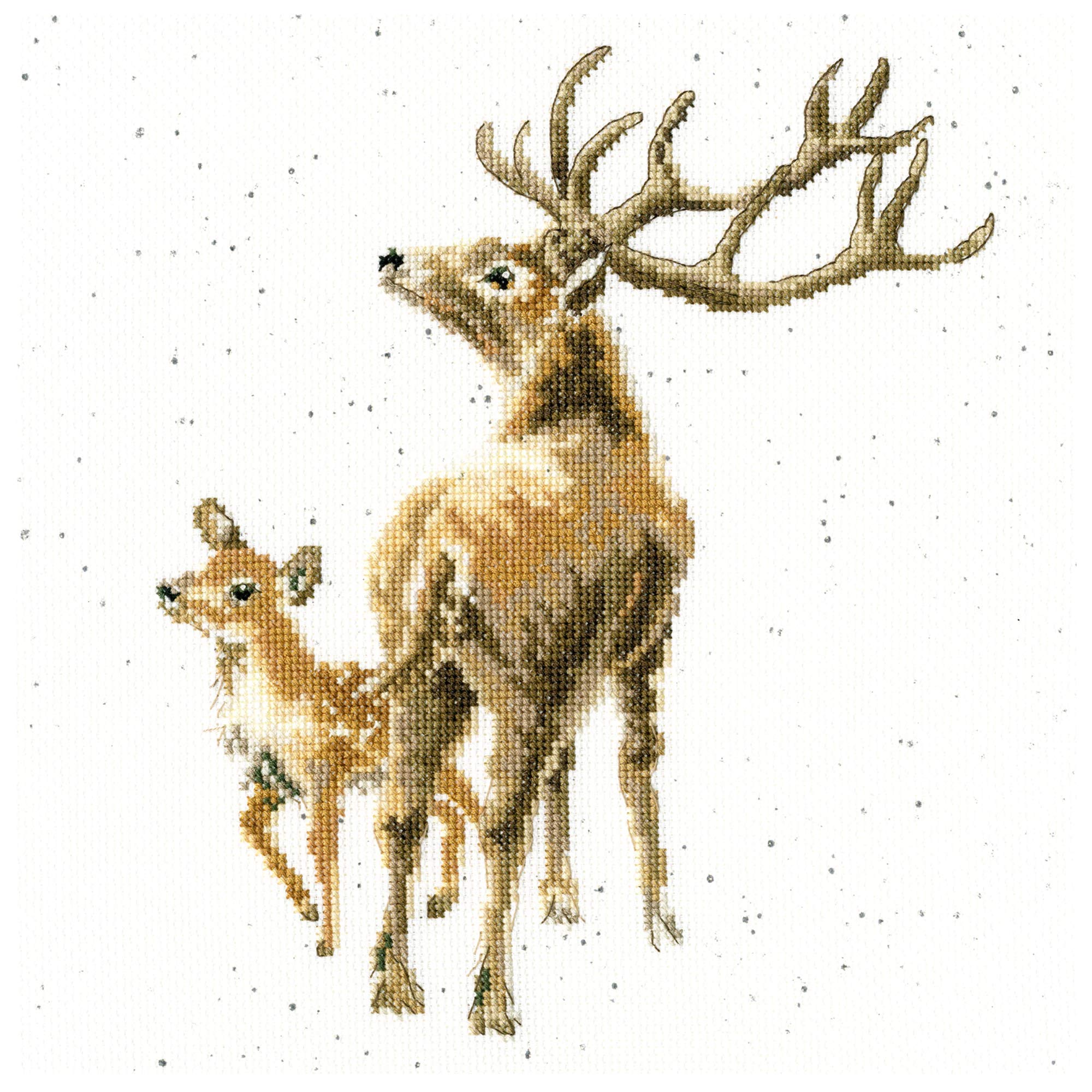Bothy Threads Hannah Dale Wild At Heart Counted Cross Stitch