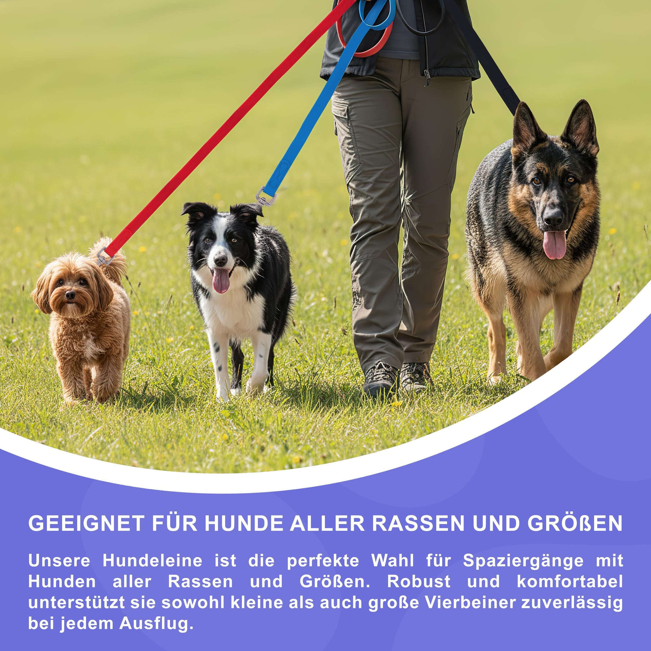Reichstadt Pets Guinzaglio robusto in PVC per cani – impermeabile, superficie antiscivolo | Moschettone in acciaio inox a 360°, facile da pulire e resistente alle intemperie Red 15m