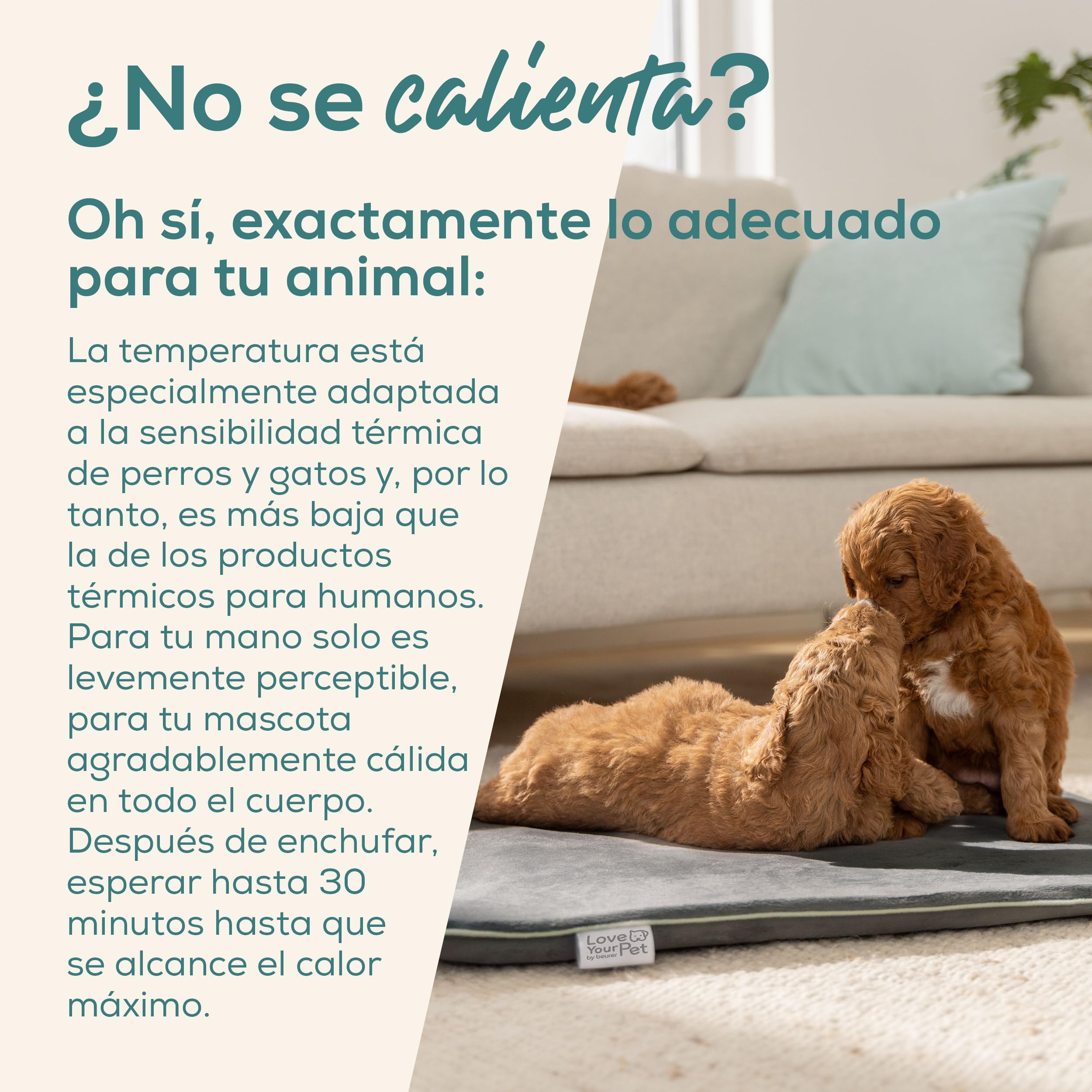 Beurer Love Your Pet Colchoneta térmica Talla L «Sammy» de para Perros y Gatos, con Temporizador, Grande, Almohadilla eléctrica XXL Lavable a 30 °C, Resistente a los arañazos y el Agua, 65 × 50 cm