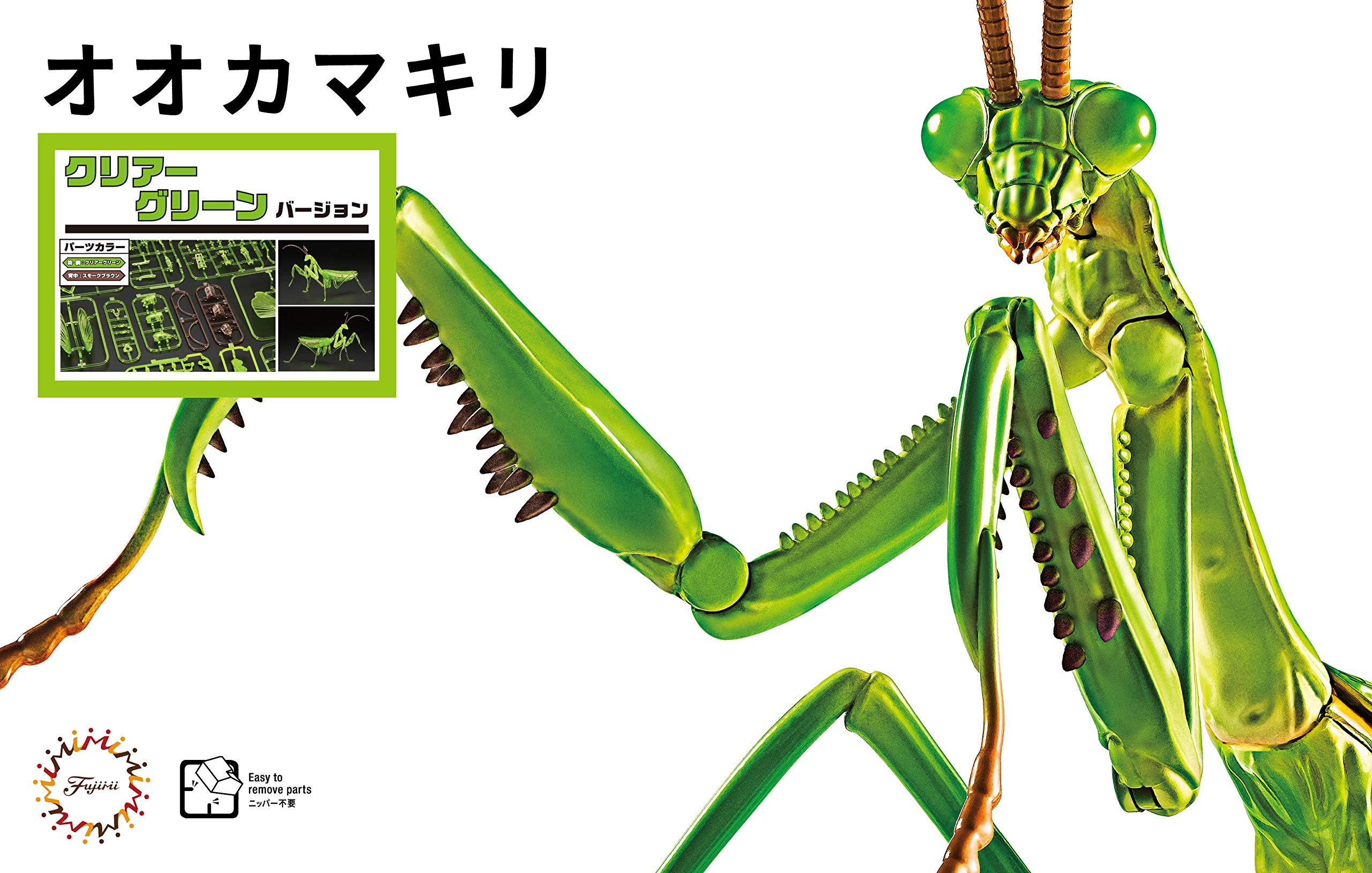 ケムンパス出品 オオカマキリ立体標本2点 Amazon | フジミ模型 自由研究シリーズNo.23 EX-2 いきもの編