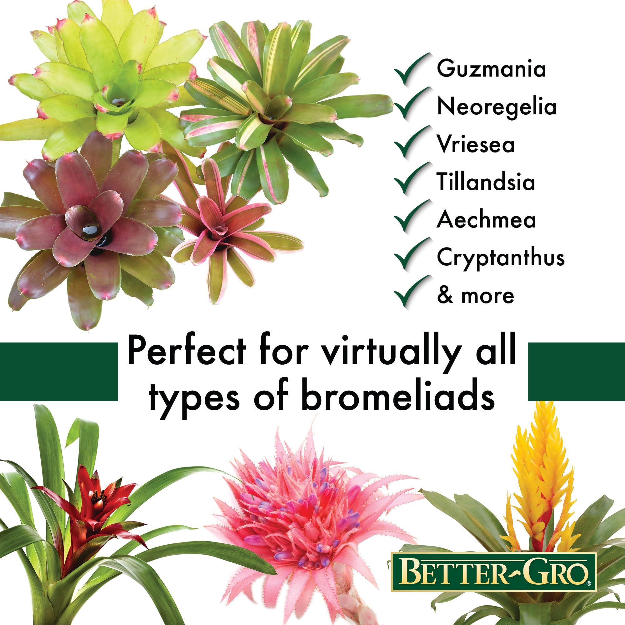 Better-Gro Mezcla de bromelia de 8 Cuartos de galón