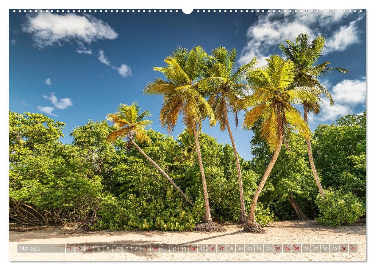 Karibik - Traumstrände (Wandkalender 2026 DIN A2 quer), CALVENDO Monatskalender: Sonne, Meer und karibische Traumstrände (CALVENDO Natur)