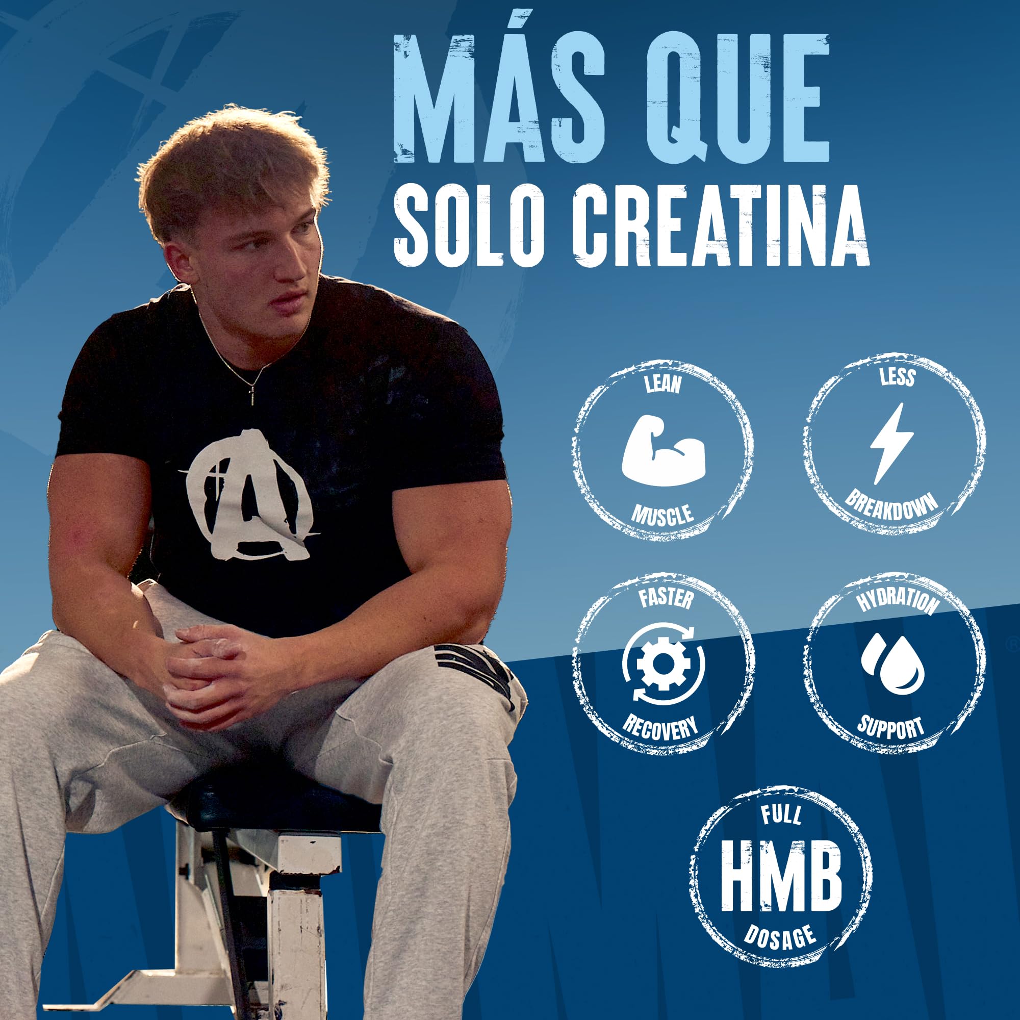 ANIMAL Creatine HMB+ - Creatina monohidrato en polvo con HMB y electrolitos - Favorece el crecimiento muscular, la regeneración y la resistencia - Power Punch, 30 porciones