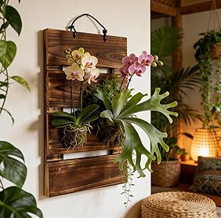 Staghorn Fern Mounting Board Kit Wooden Wall Planter Hanging Plant Holde...