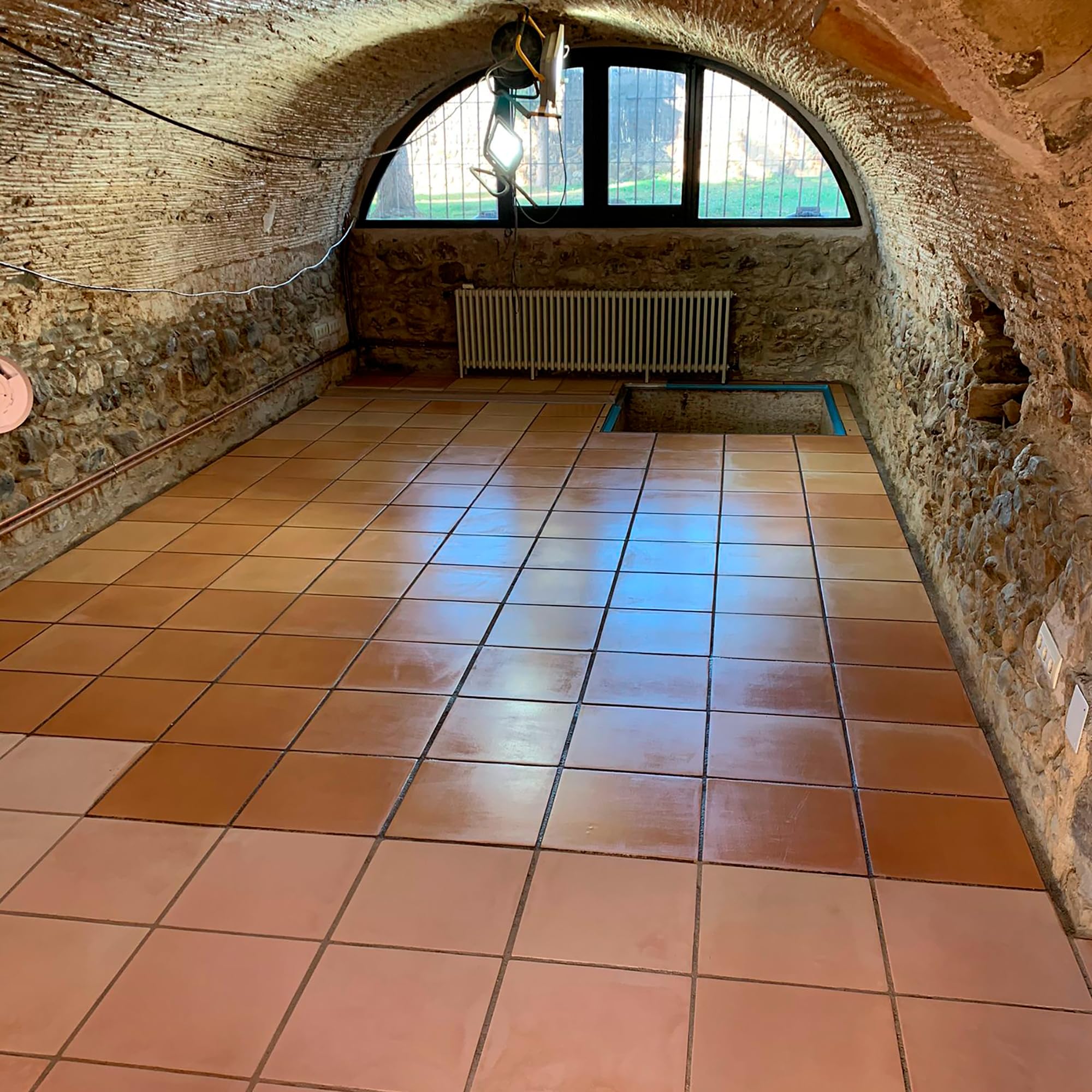Monestir REMEMBER PROTECTOR ANTIMANCHA EFECTO MOJADO 1L MONESTIR