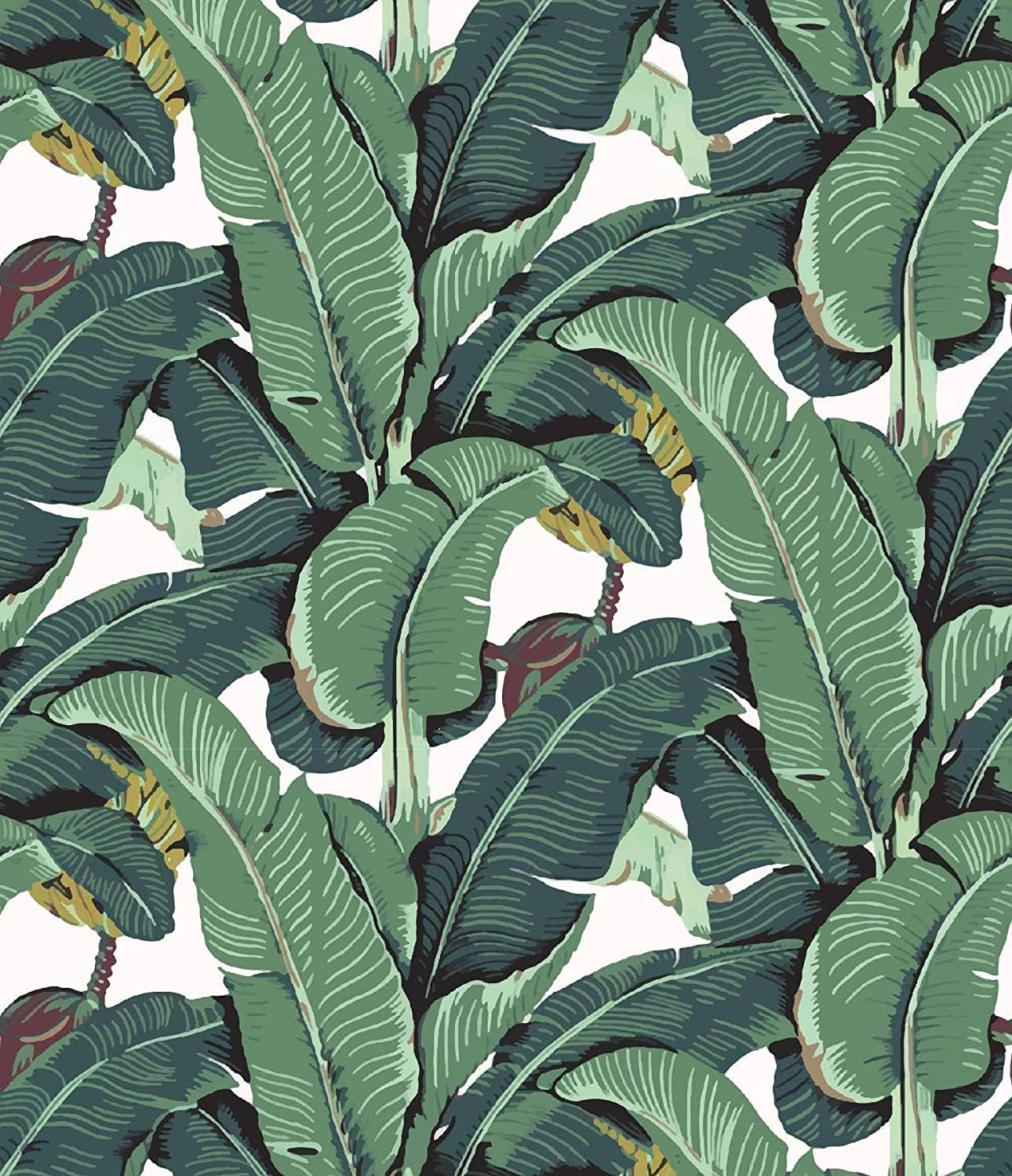 Tropical Palm Leaf Peel and Stick Wallpaper Green Banana Leaves Self Adhesive Wall Paper Removable Contact Paper for Living Room 17.7in x 9.8ft