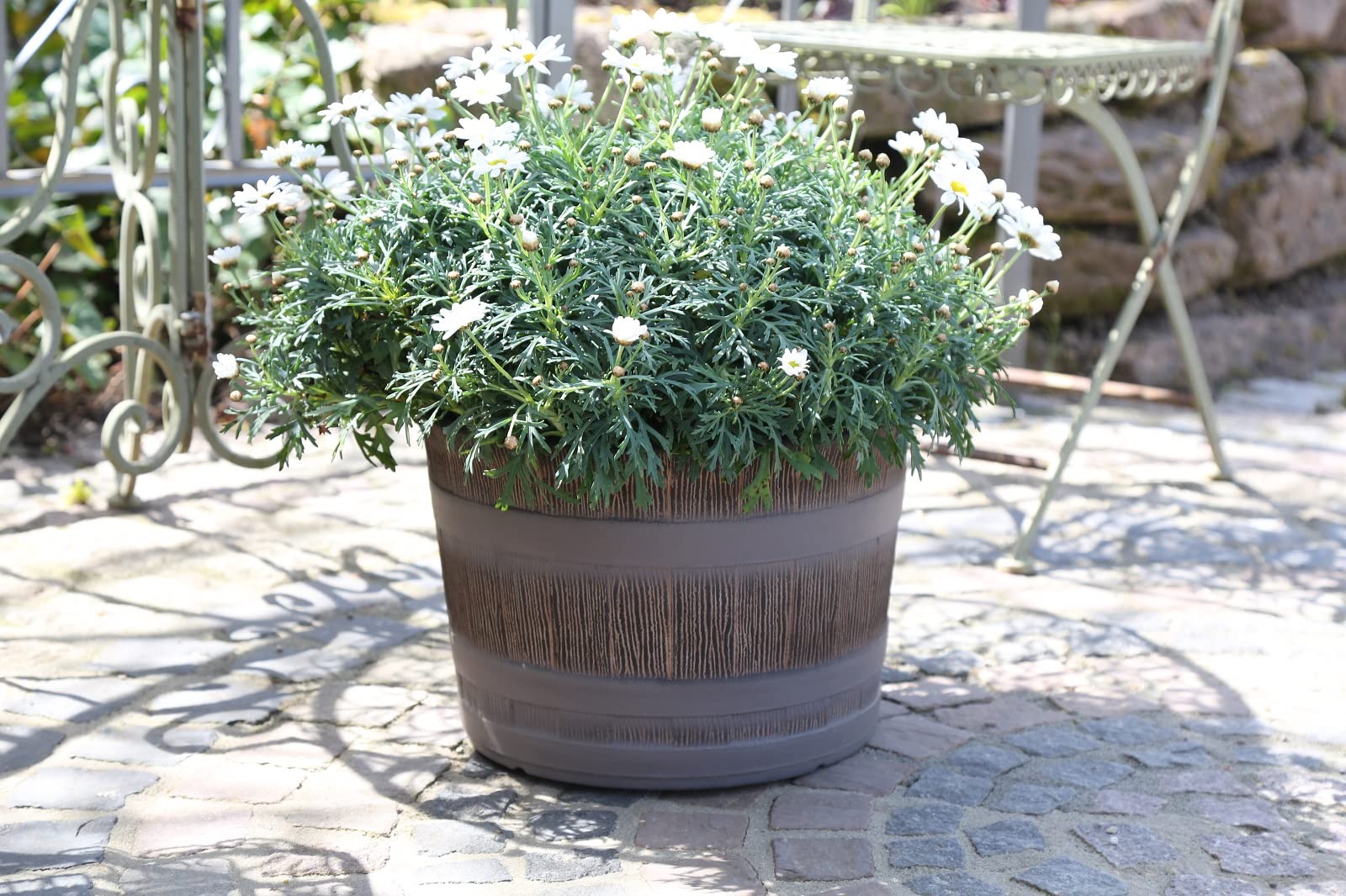 3 Vasi ninfea Giardino Mini Stagno in plastica Effetto Legno | Mezzo barile Rovere | Ø36cm