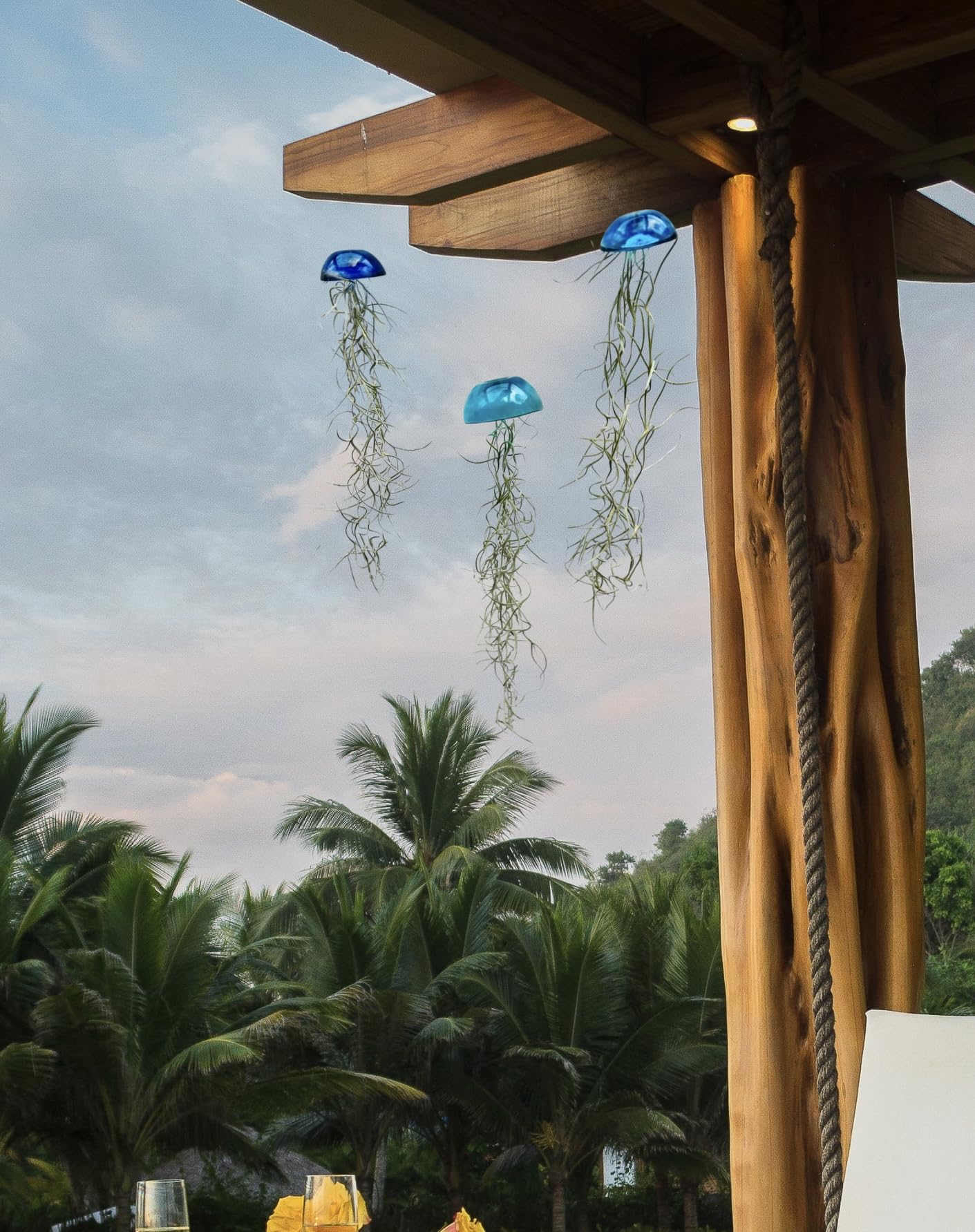 Set van 3 Jelly-fish luchtplantjes Set van 3 Jelly-fish luchtplantjes