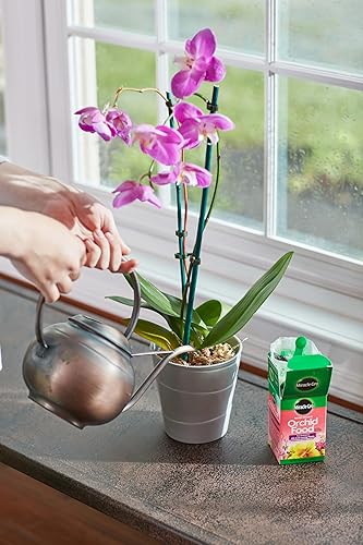 Miniatura 7 de Miracle-Gro Alimento soluble en agua para orquídeas, 8 onzas, paquete de 2