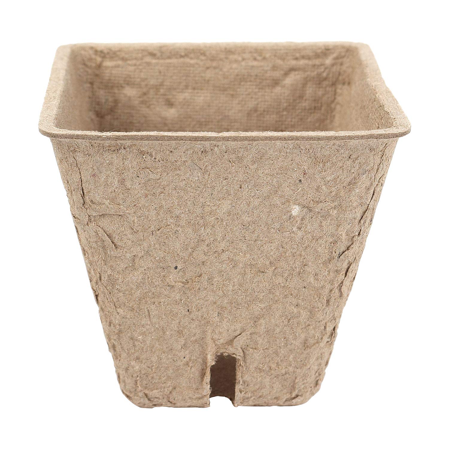 Schramm® Vasi da semina 20, 60 o 100 pezzi in cellulosa Altezza: 5,5 cm vaso per piante biodegradabile Vasi per piante, Anzahl:60 Stück