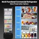 BODEGACOOLER Réfrigérateur de marchand,9 Cu.Ft Commercial Boissons Refroidisseur avec une seule porte en verre, affichage de porte droite Réfrigérateur boisson Commercial Bar Refroidissement avec 4 Tablettes réglables