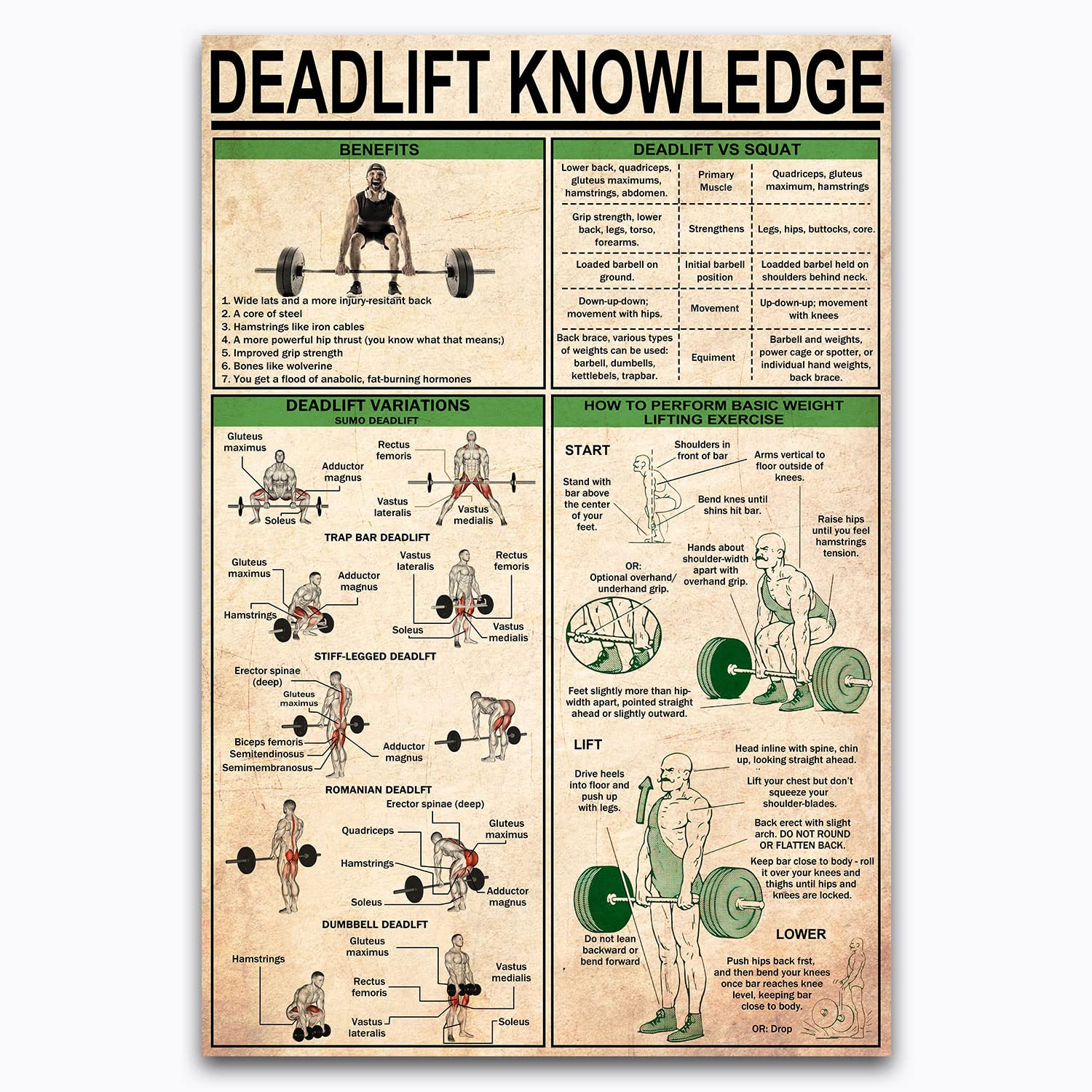 Anceky Deadlift Knowledge Metal Tin Signs Fitness Basics Infographic Posters Gym Wall Decor Home Room Club Plaque es 5.5x8
