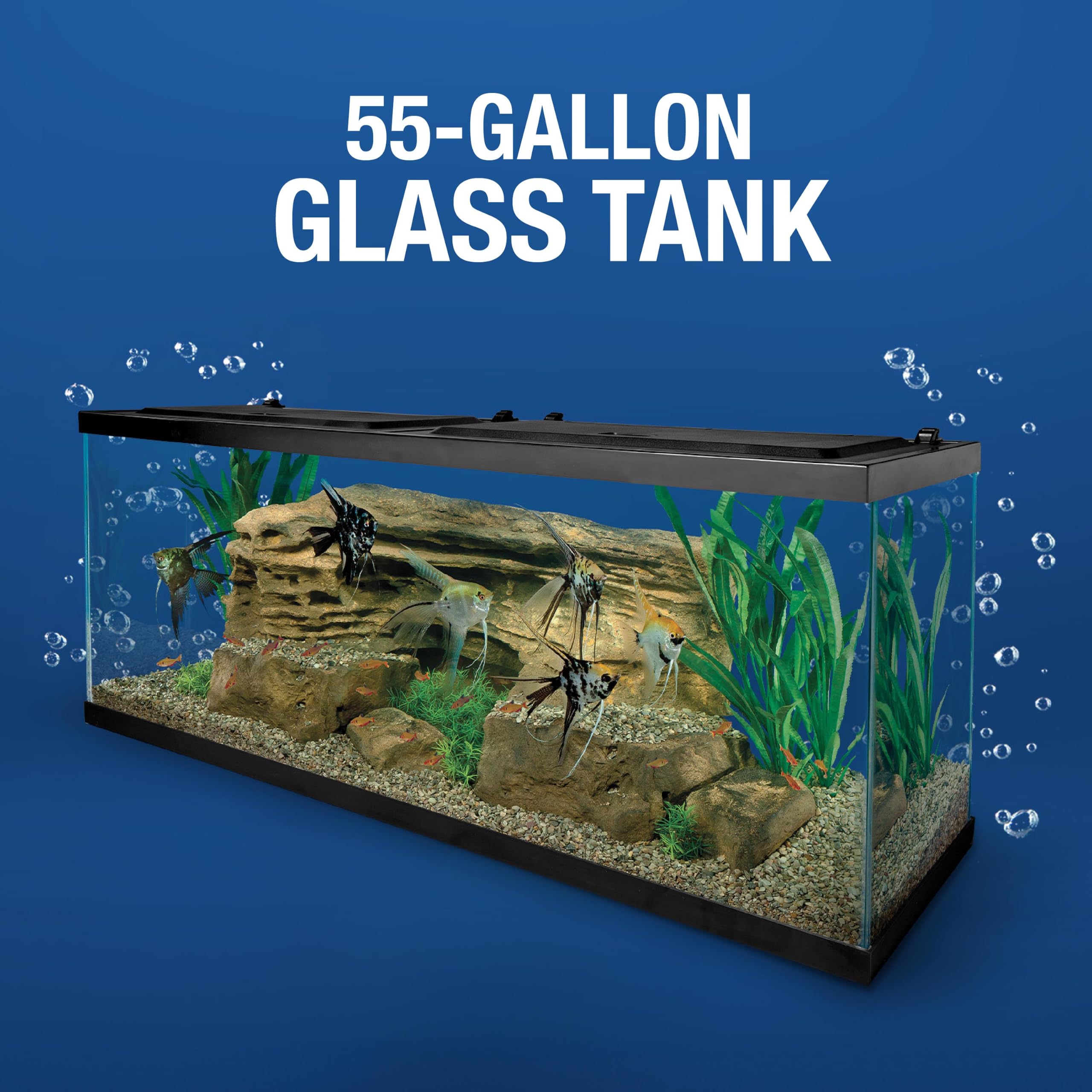 ebay 55 gallons fish tank with all accessories Tetra Complete Plants Gallon Kit, Freshwater & Saltwater Bass Pro Shops Tourney Trout Length & Power:6'2 Medium Fast (Vertical Jigging)