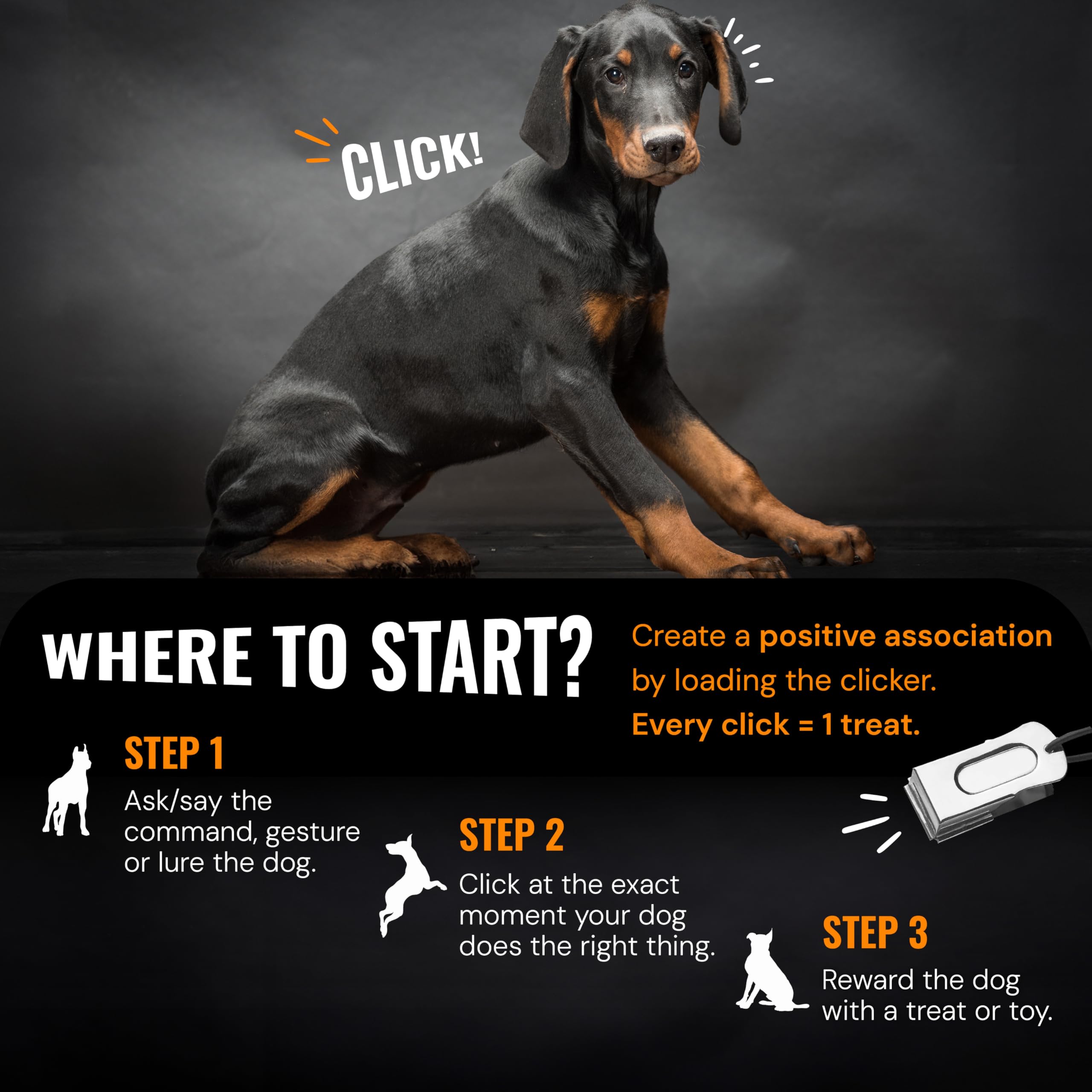 Hundeklicker Schwarz & Weiß (10er-Pack) – Clicker für Haustiertraining – Hundetraining & Verhaltenshilfen einfach überall hin mitzunehmen – bringen Sie Ihrem Hund Tricks bei oder belohnen
