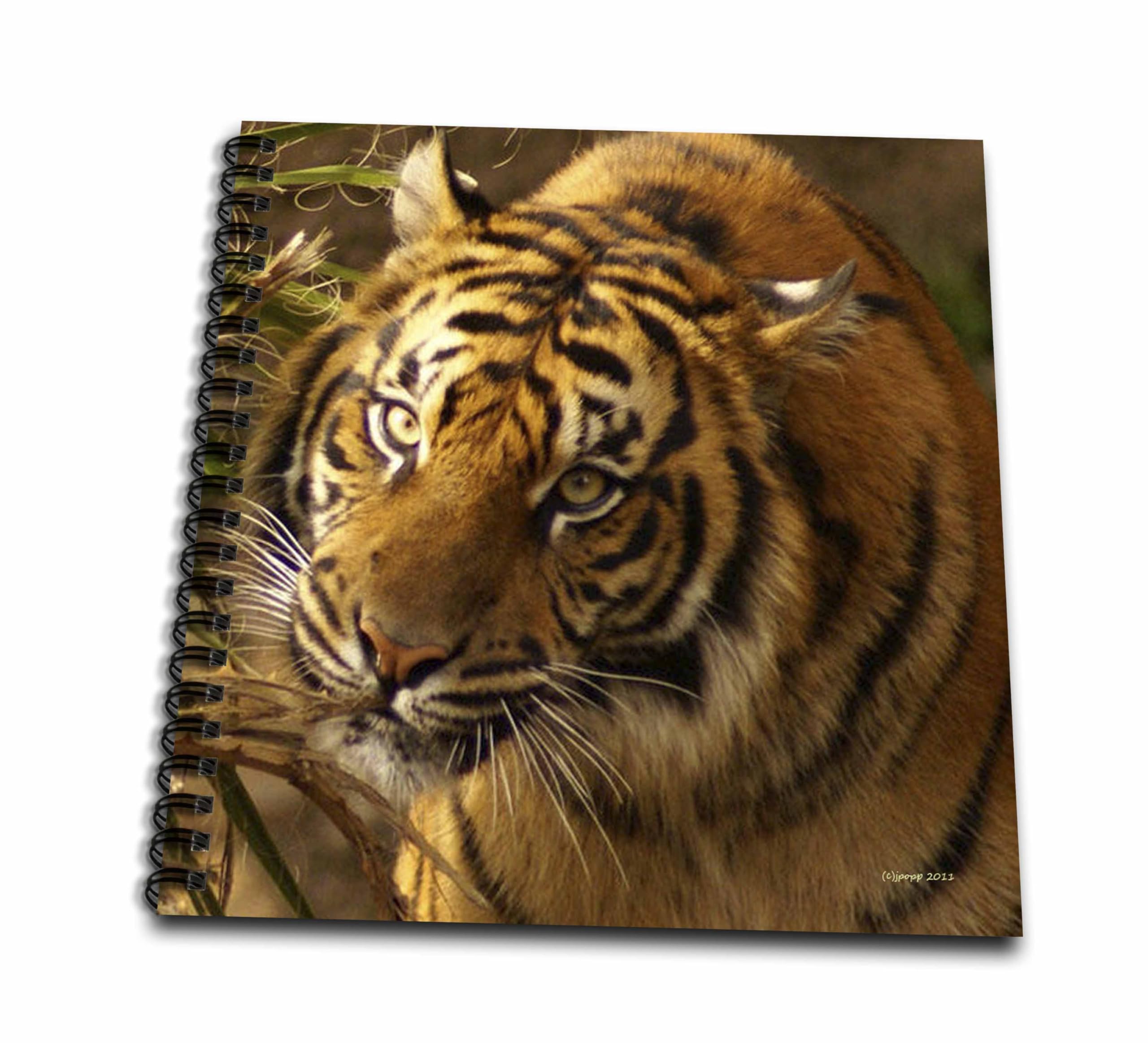 3dRose Db_252_1 Puli - Drawing Book, 8 By 8-inch, Multicolor