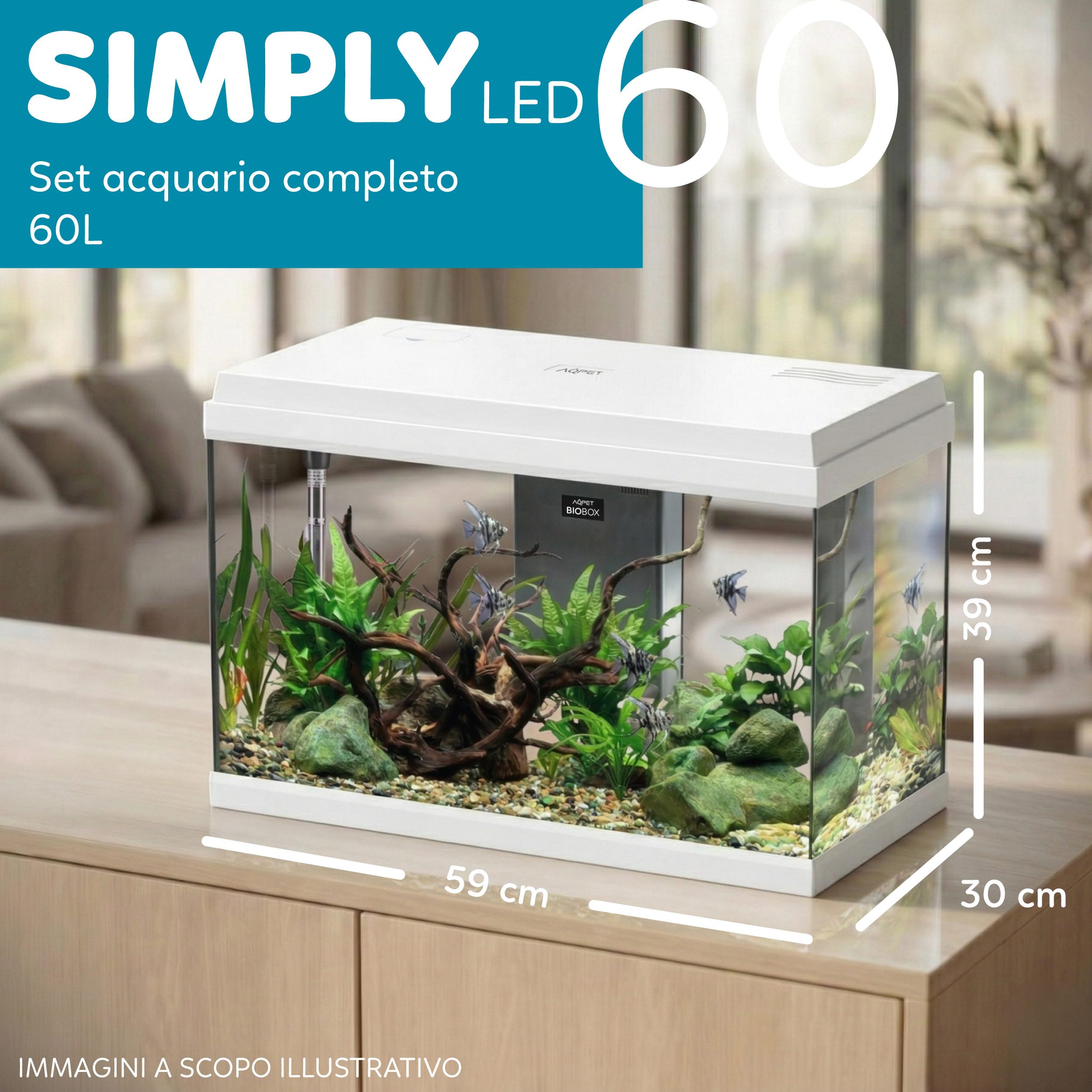 AQPET Acquario in Vetro per Pesci Tropicali Completo di Accessori Filtro Luce Simply, 60 59x30x39 cm 60 Litri, Bianco