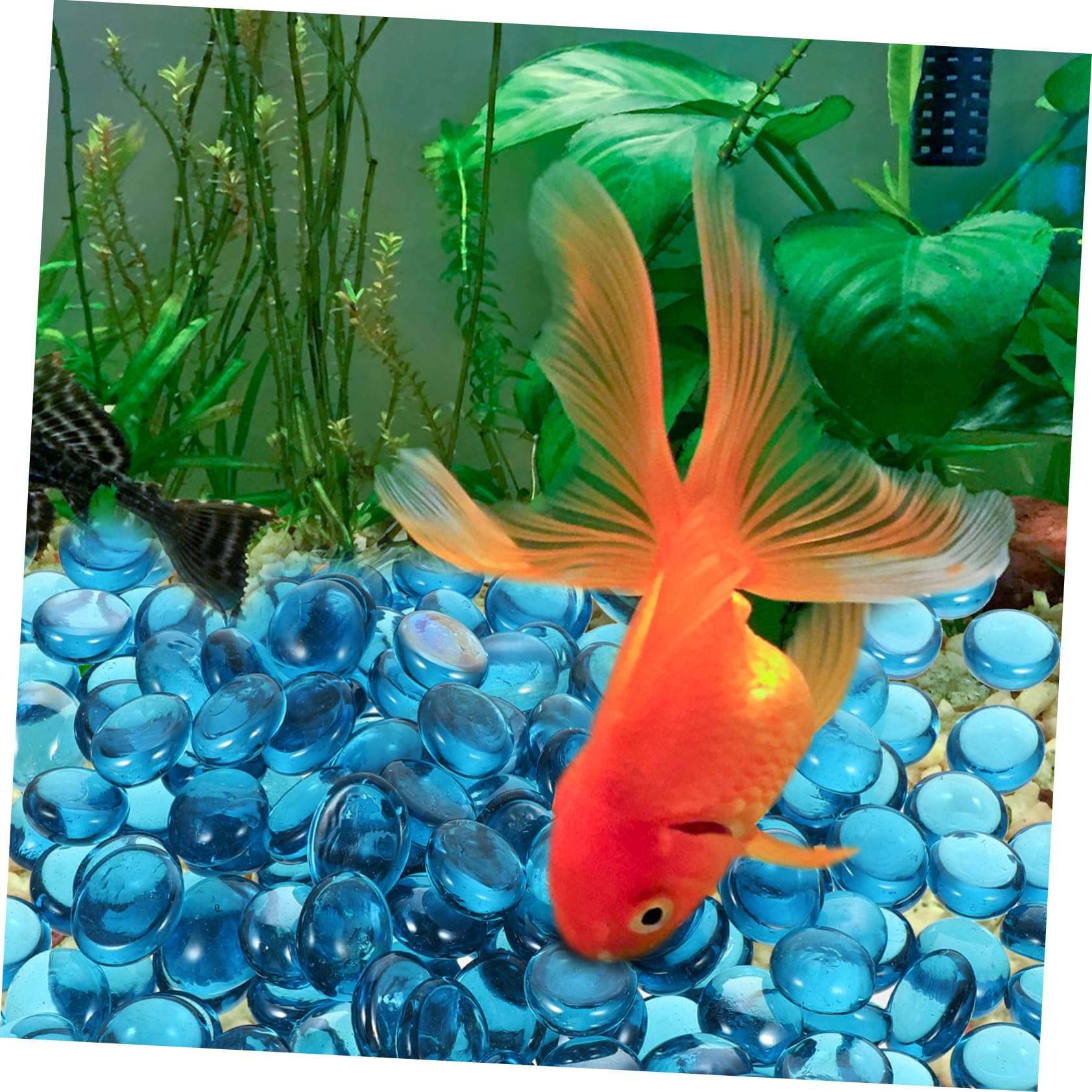 1sacchetto in Vetro Per Acquario Per Acquario Decorazioni in Vetro Per Braciere Vetro Per Braciere Pietre Decorazioni Liscia e Resistente Riutilizzabile