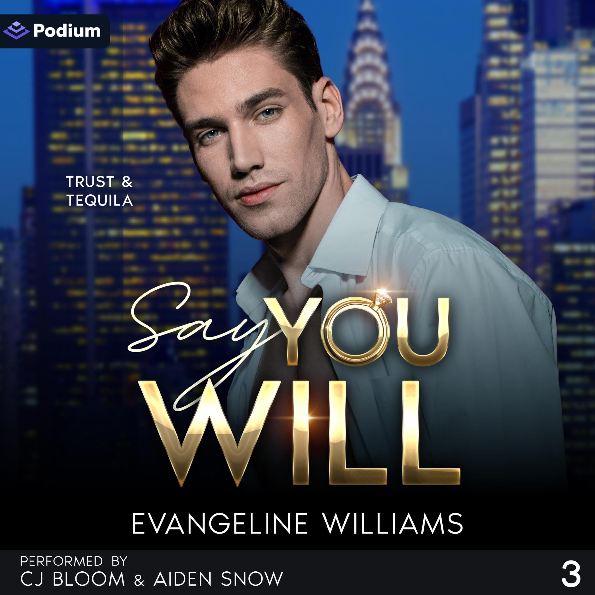 Cover art for Say You Will