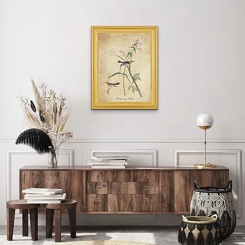 Vista 236 de Towee Bunting by James Audubon - Marco biselado negro de 12 x 16 pulgadas, decoración artística enmarcada para pared, reproducción de pinturas