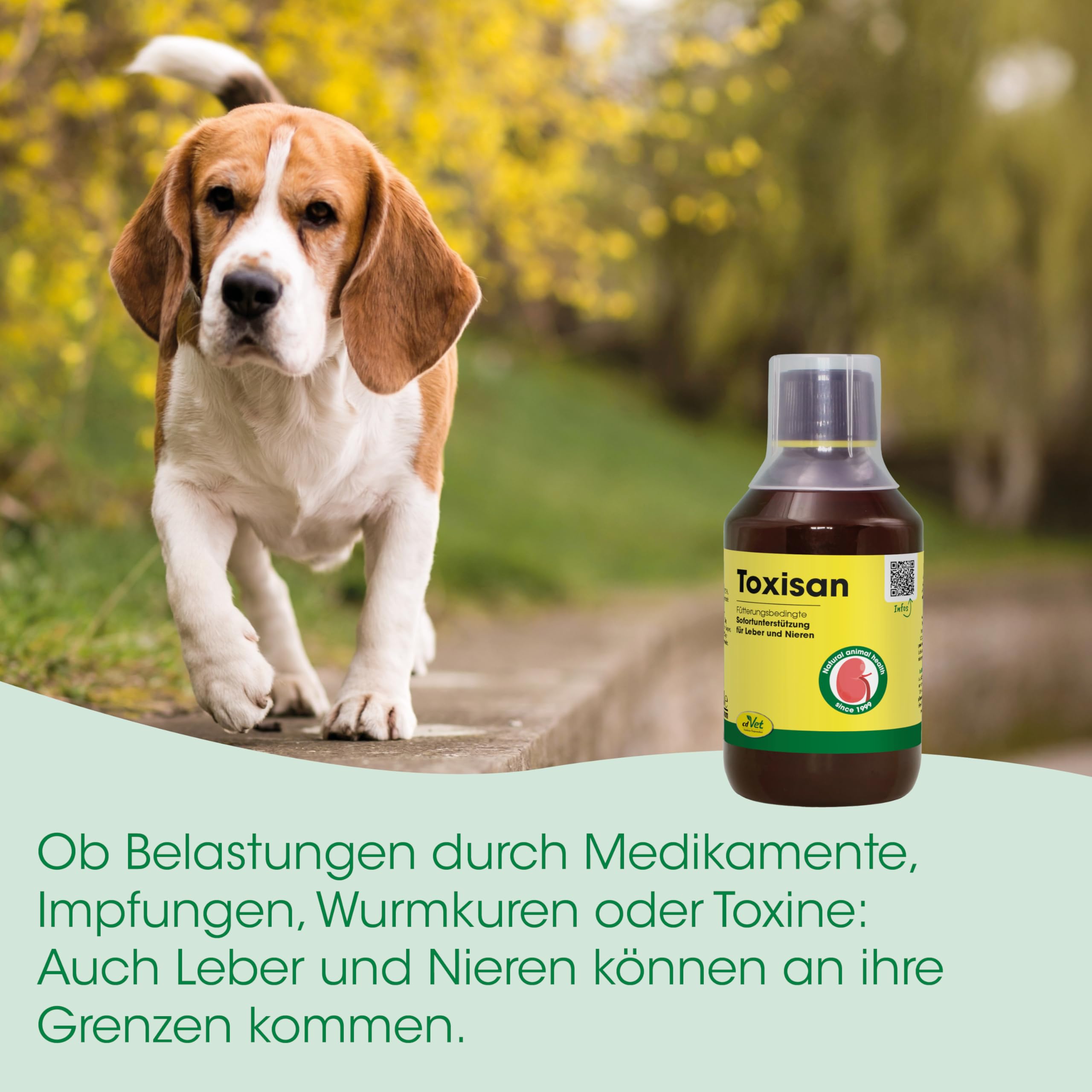 cdVet Naturprodukte Toxisan 100 ml - Ergänzungsfuttermittel für Hunde & Katzen - Unterstützt Leber & Niere - Natürliche Inhaltsstoffe