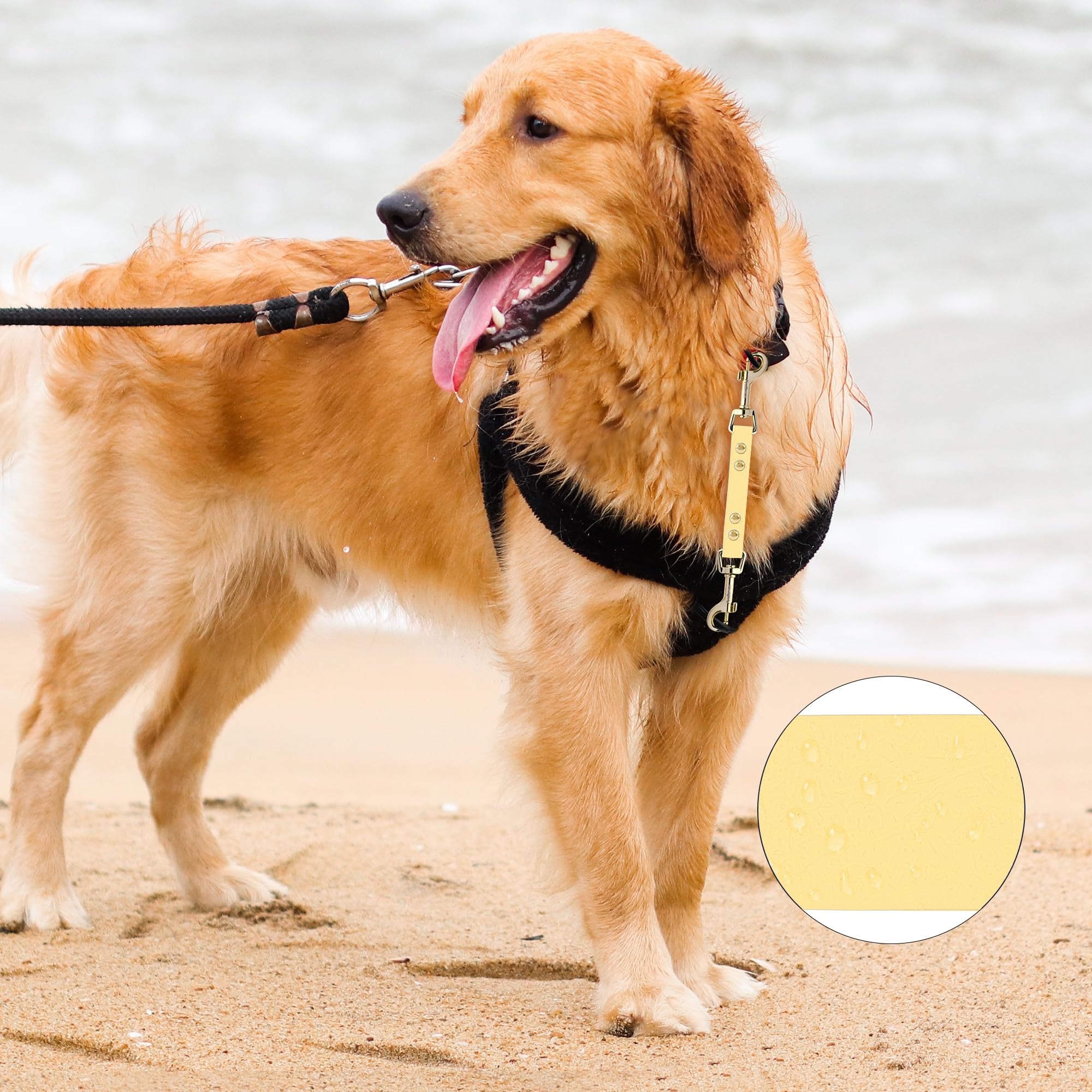 PetBonus Dog Collar Safety Clip - Image 3