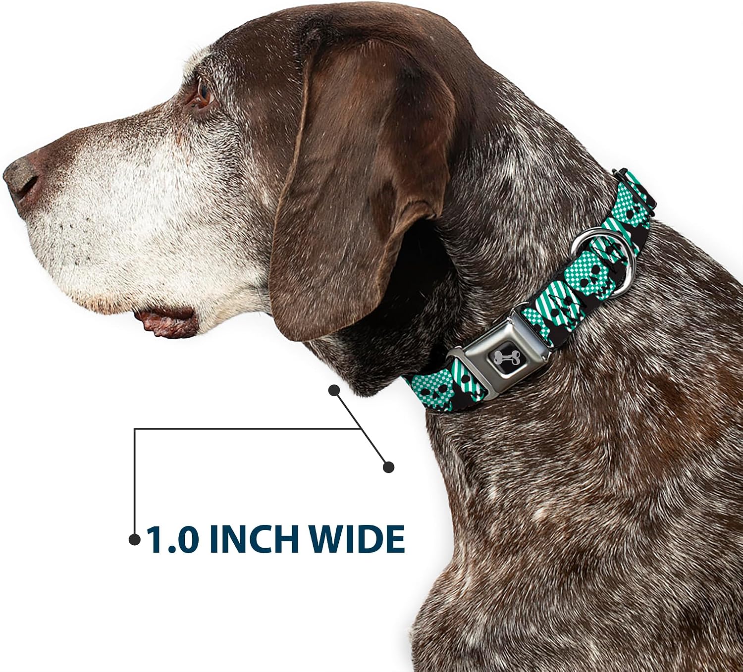 Buckle-Down Seatbelt Buckle Dog Collar - Checker & Stripe Skulls Black/White/Green - 1.5" Wide - Fits 18-32" Neck - Large
