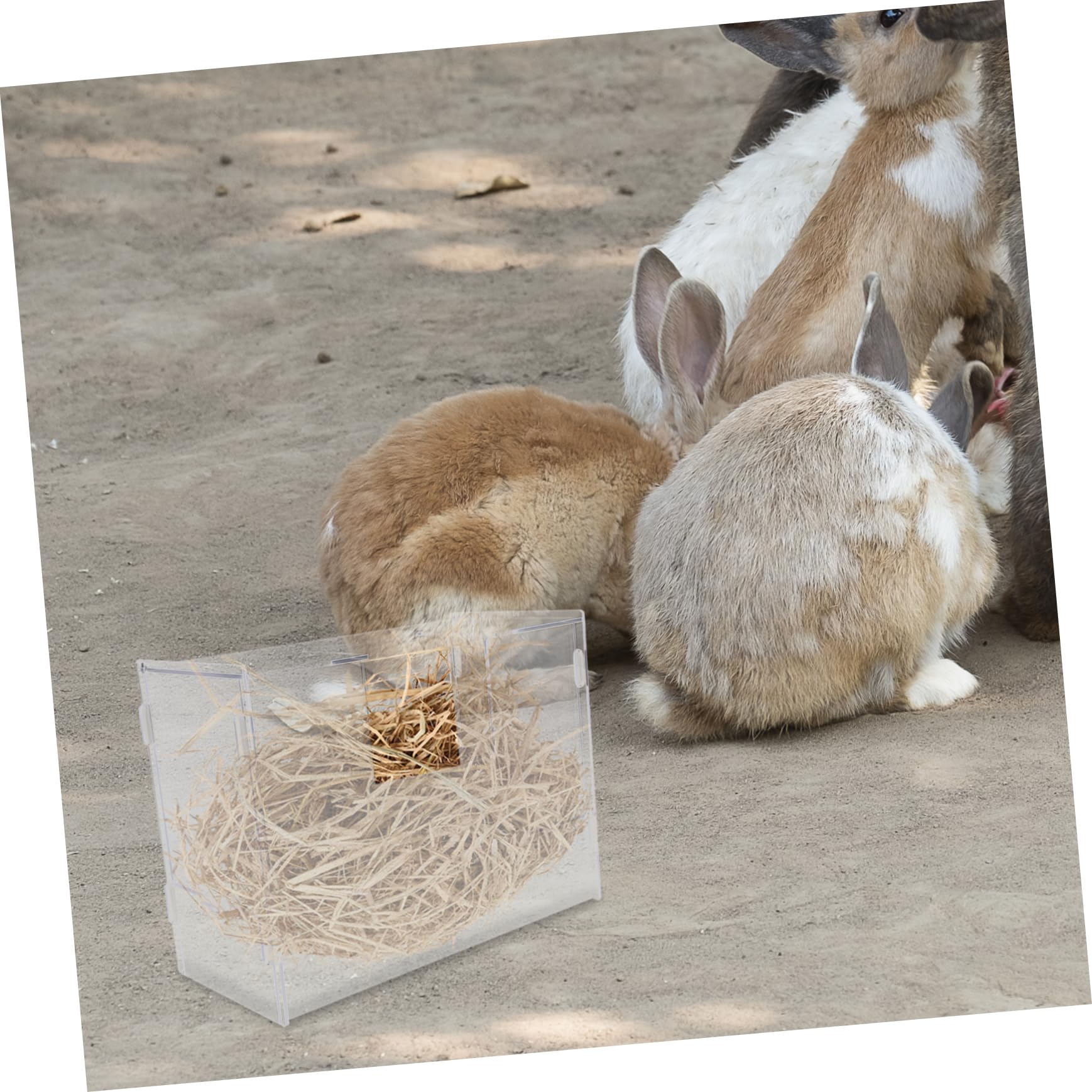 Râtelier à Foin en Acrylique pour Lapins, Grosse Capacité