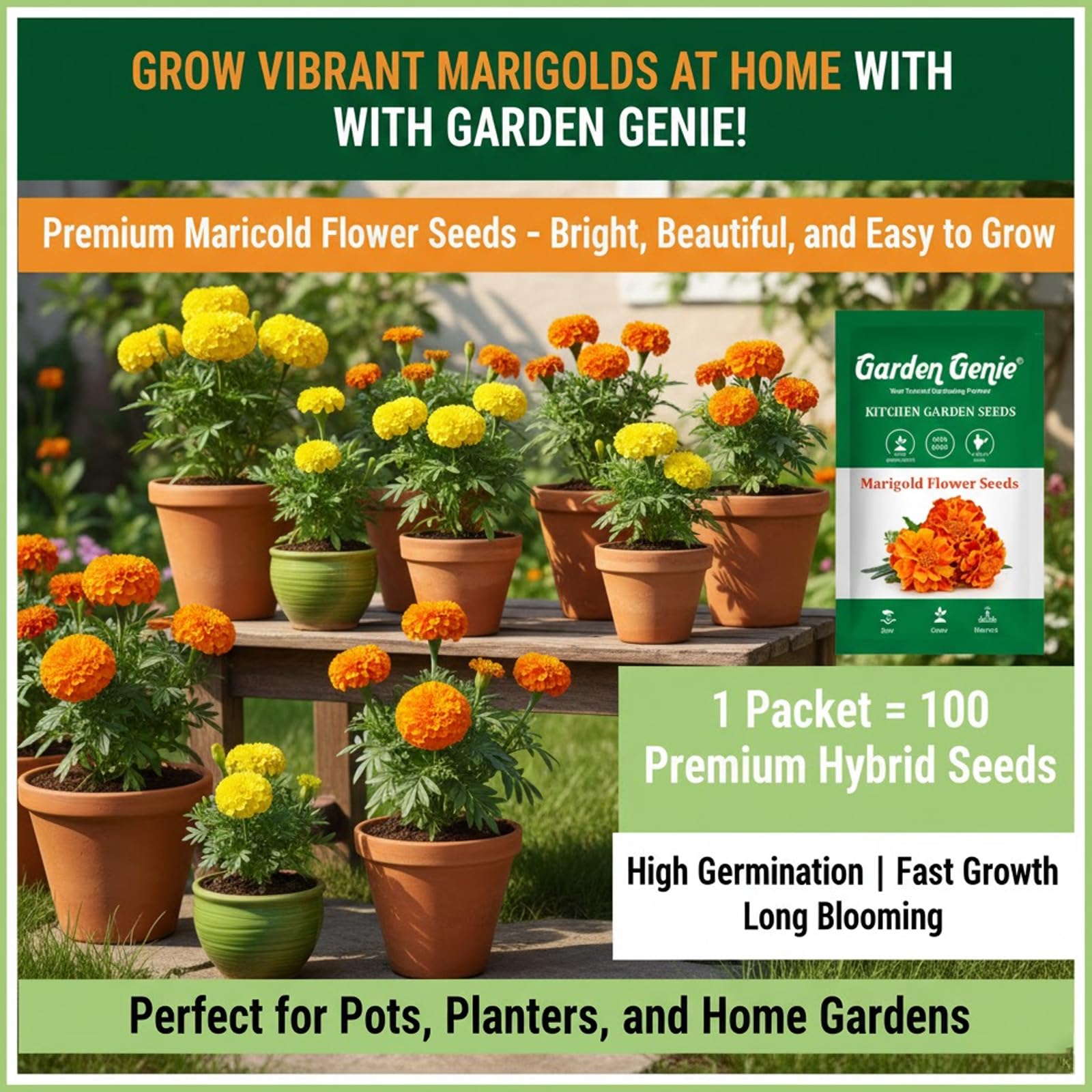 Marigold Flower Seeds - Multicolor Pack (100 Seeds) -2