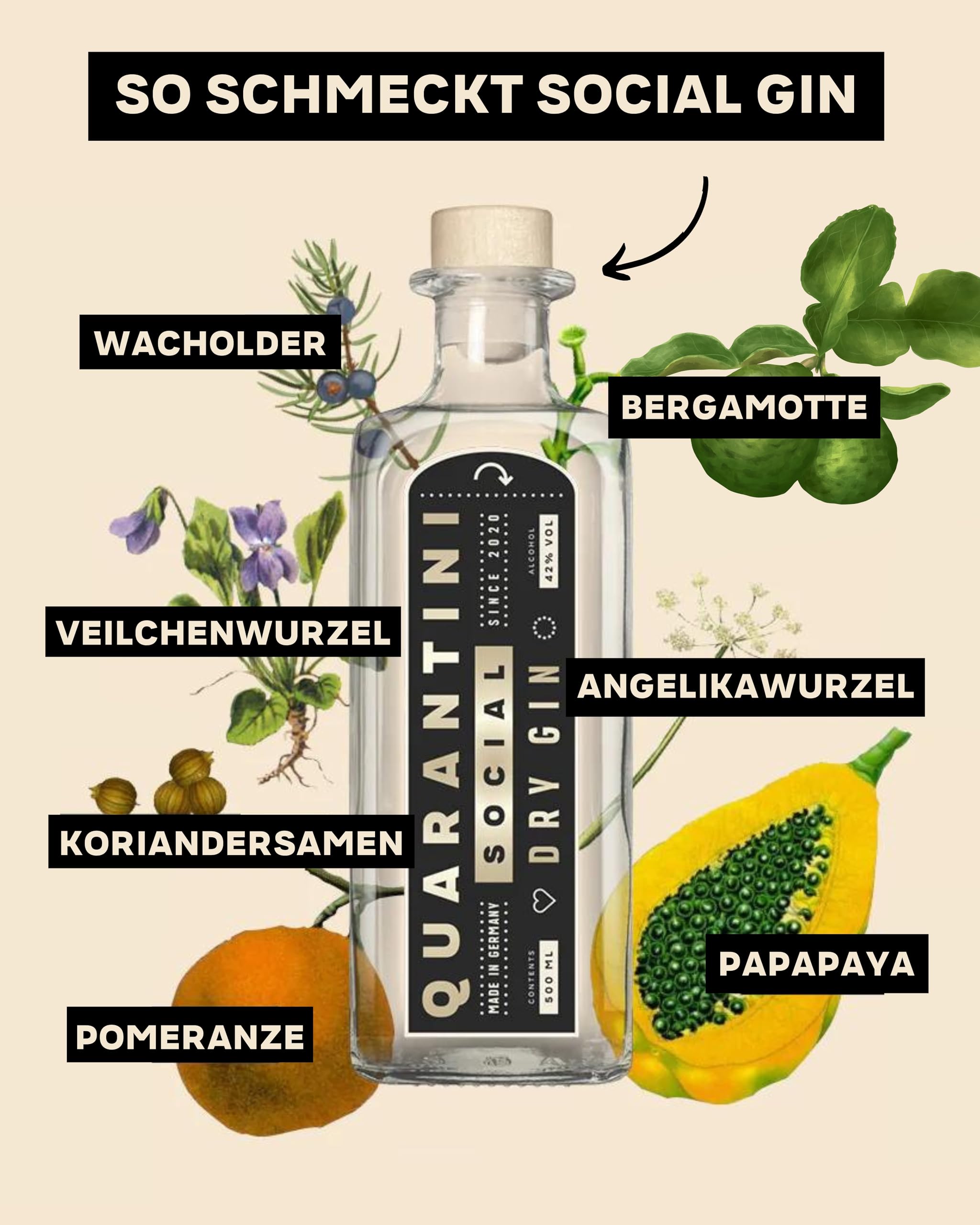 Quarantini Dry Gin 42% Vol. (500 ml Geschenkset) – mit aromatischen Botanicals aus Papaya, Bergamotte und Pomeranze