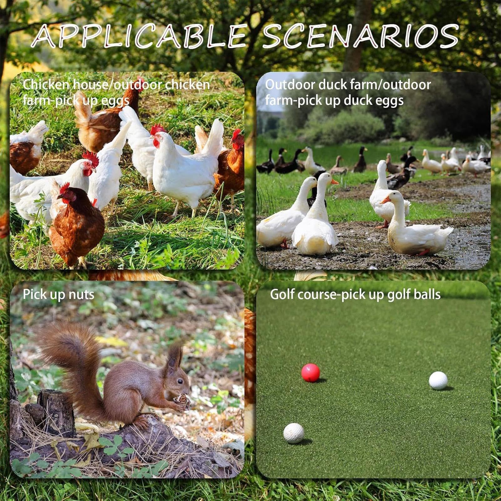 Pinzas para huevos – Recogedor extensible para huevos y nueces – Acero inoxidable para jardín, patio, gallinero, cocina
