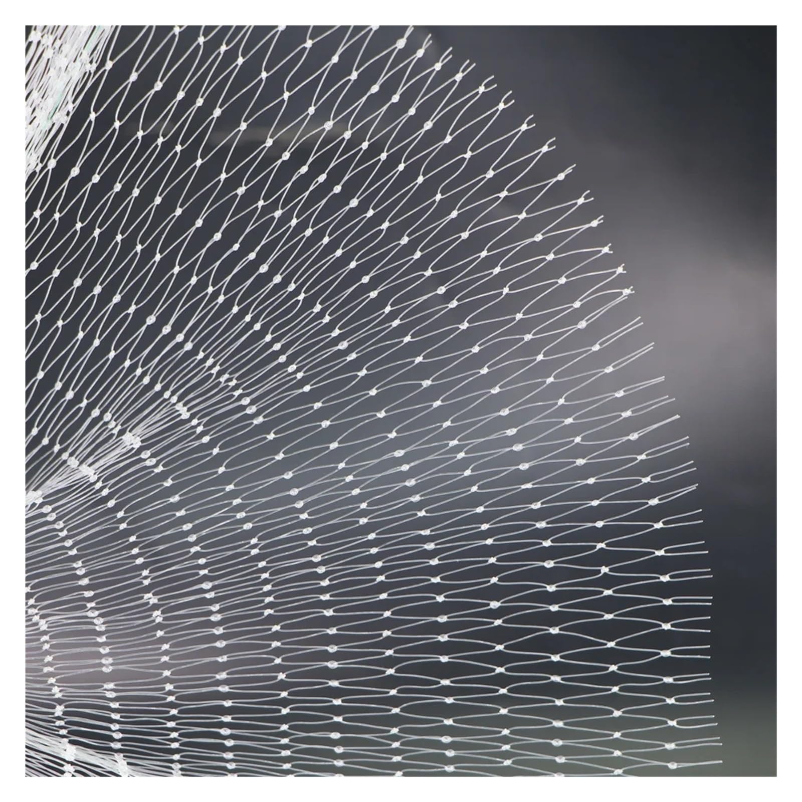 Garden Netting Extra Strong Anti Bird Protection Net Mesh Garden Plant Netting Protect Plants Fruit Trees from Birds Deer Poultry Best Fencing(White Mesh 1x1cm,2x10m)