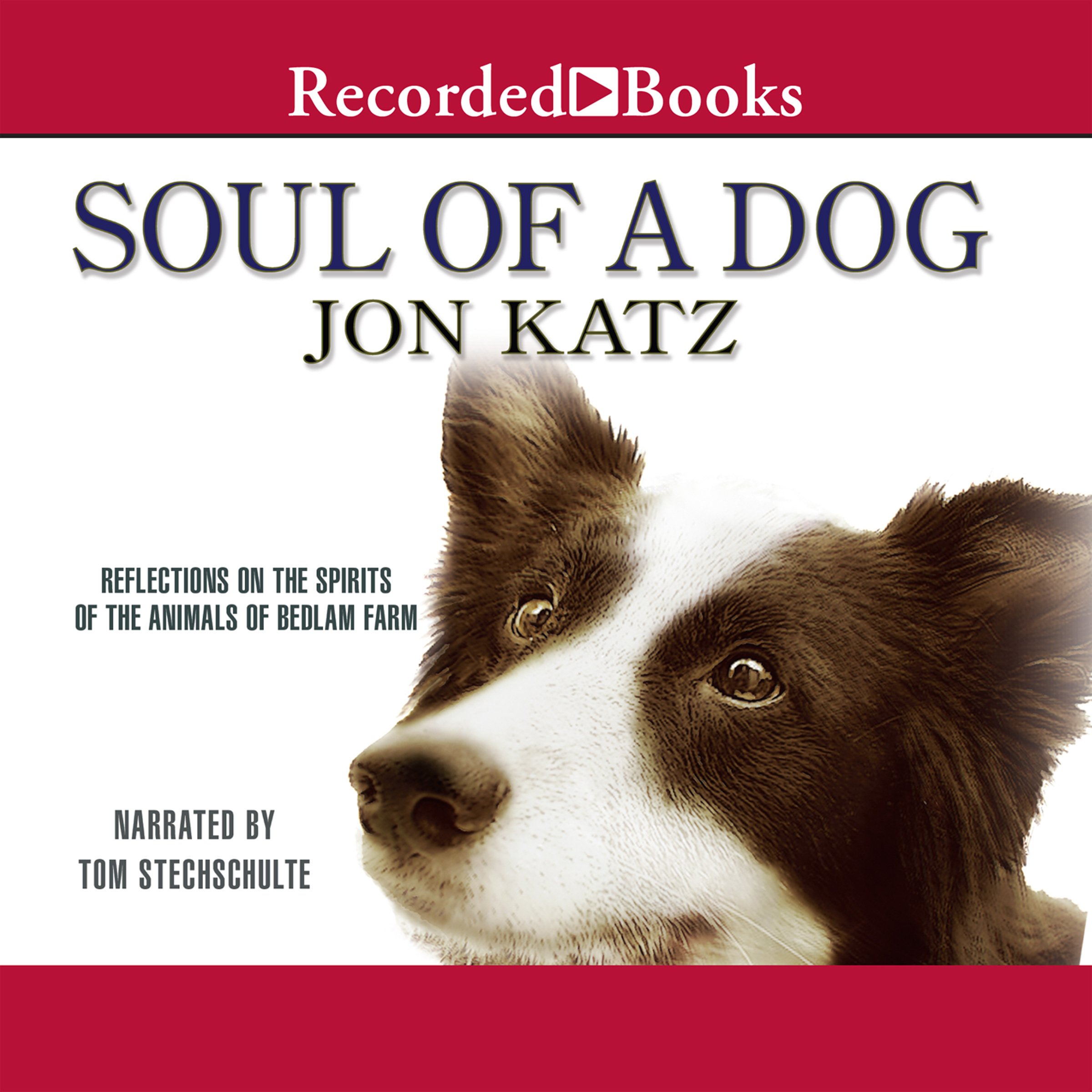 Cover art for Soul of a Dog