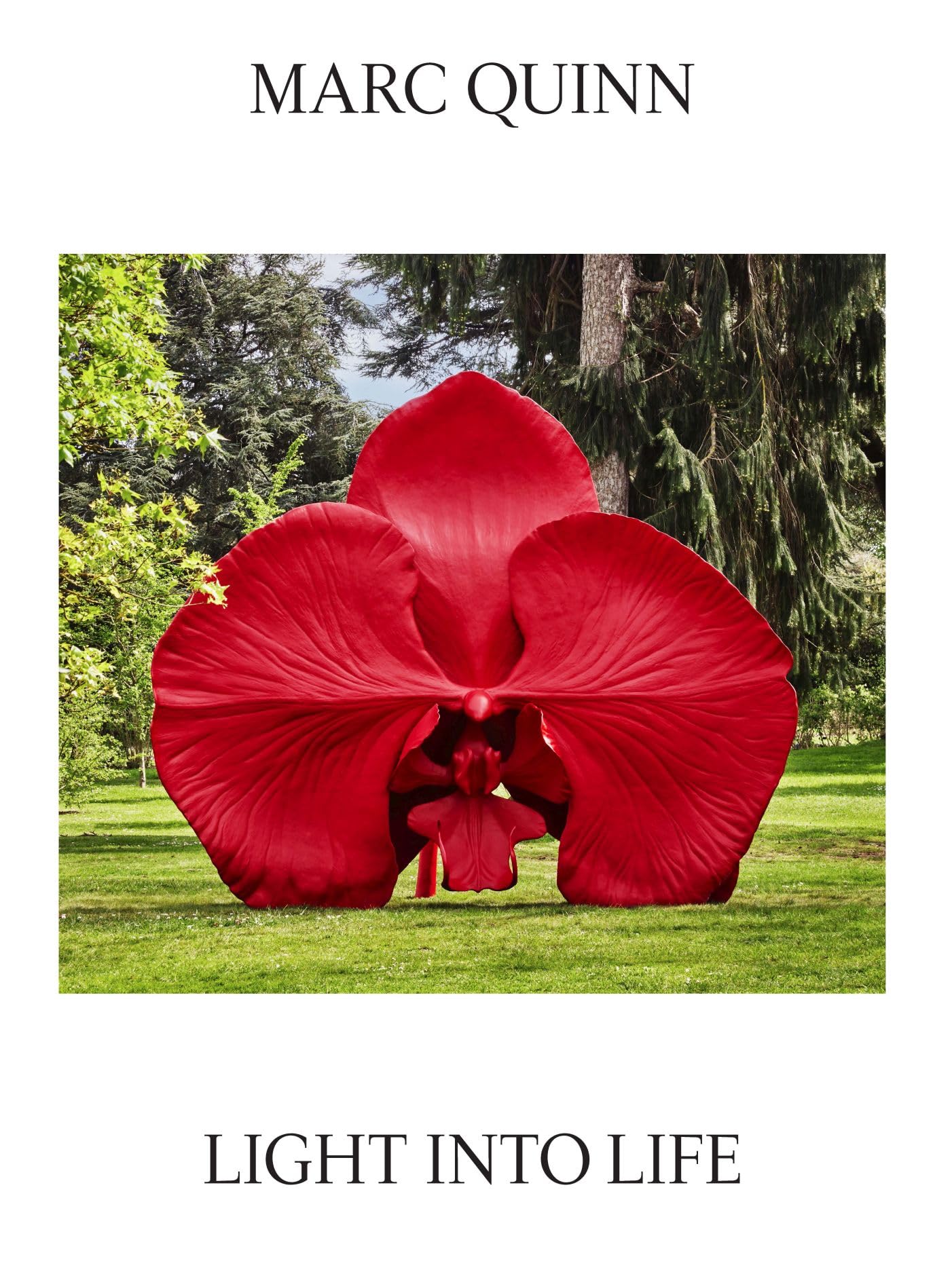 Marc Quinn: Light Into Life by Marc Quinn (Paperback Book)