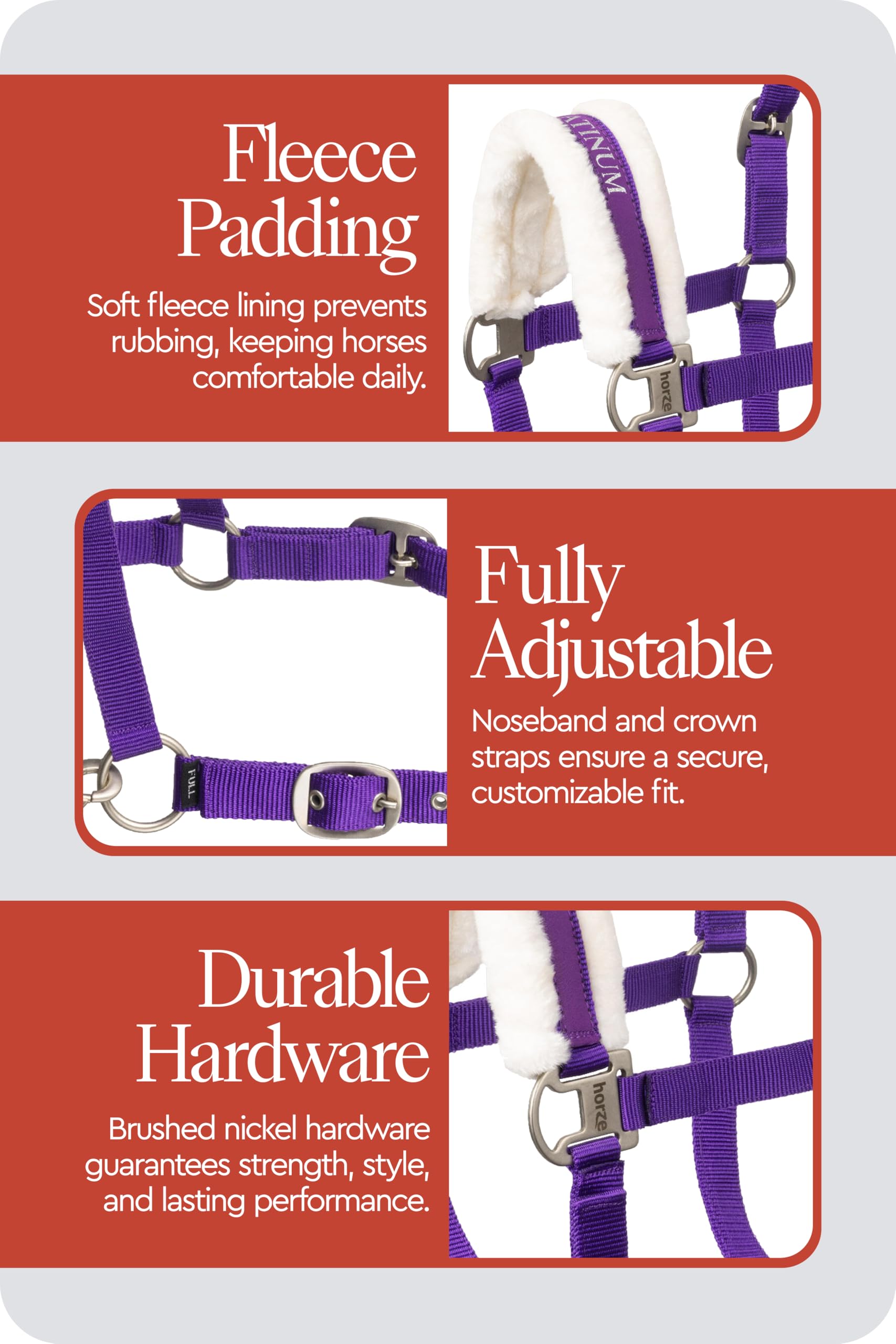 HORZE Cabezada Howard, Morado, C