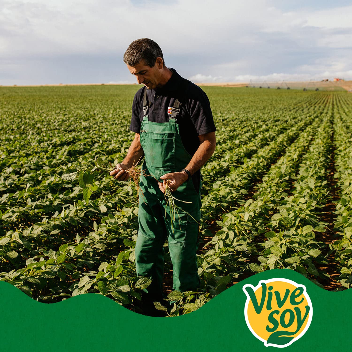 Vivesoy Naranja Y Soja Pack 8x1 L
