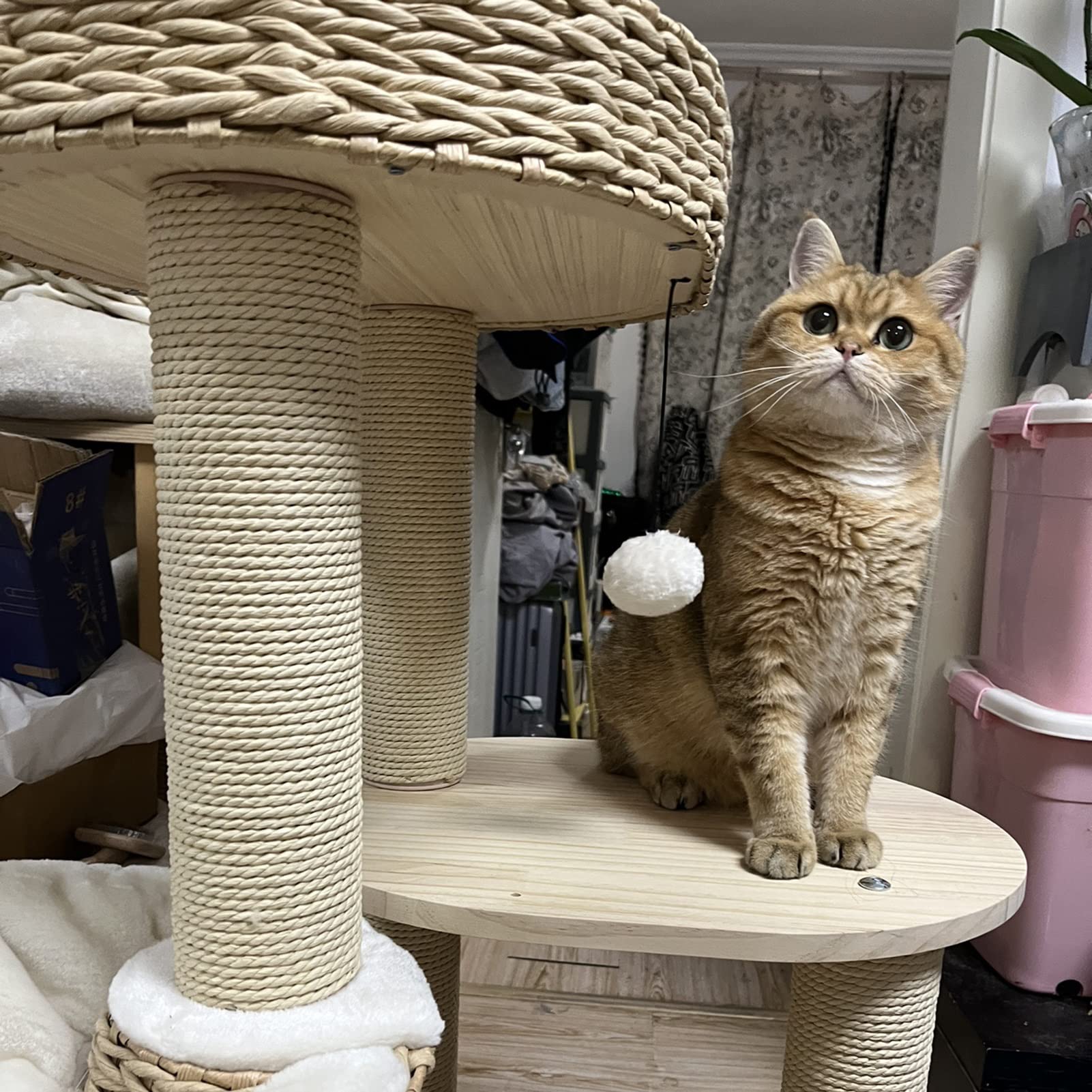Katzenbaum Mit Hängematte & Kratzsäulen – 5 Ebenen, Sisal & Plüsch – Stabiler Metallrahmen, Für Indoor-Katzen