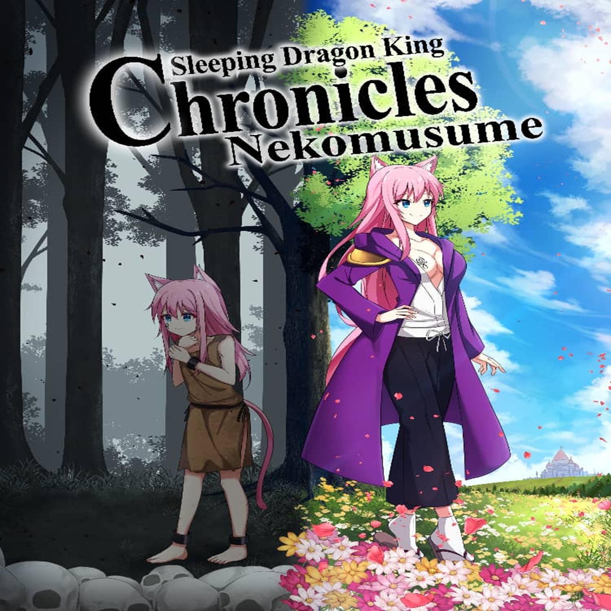 Sleeping Dragon King Chronicles: Nekomusume