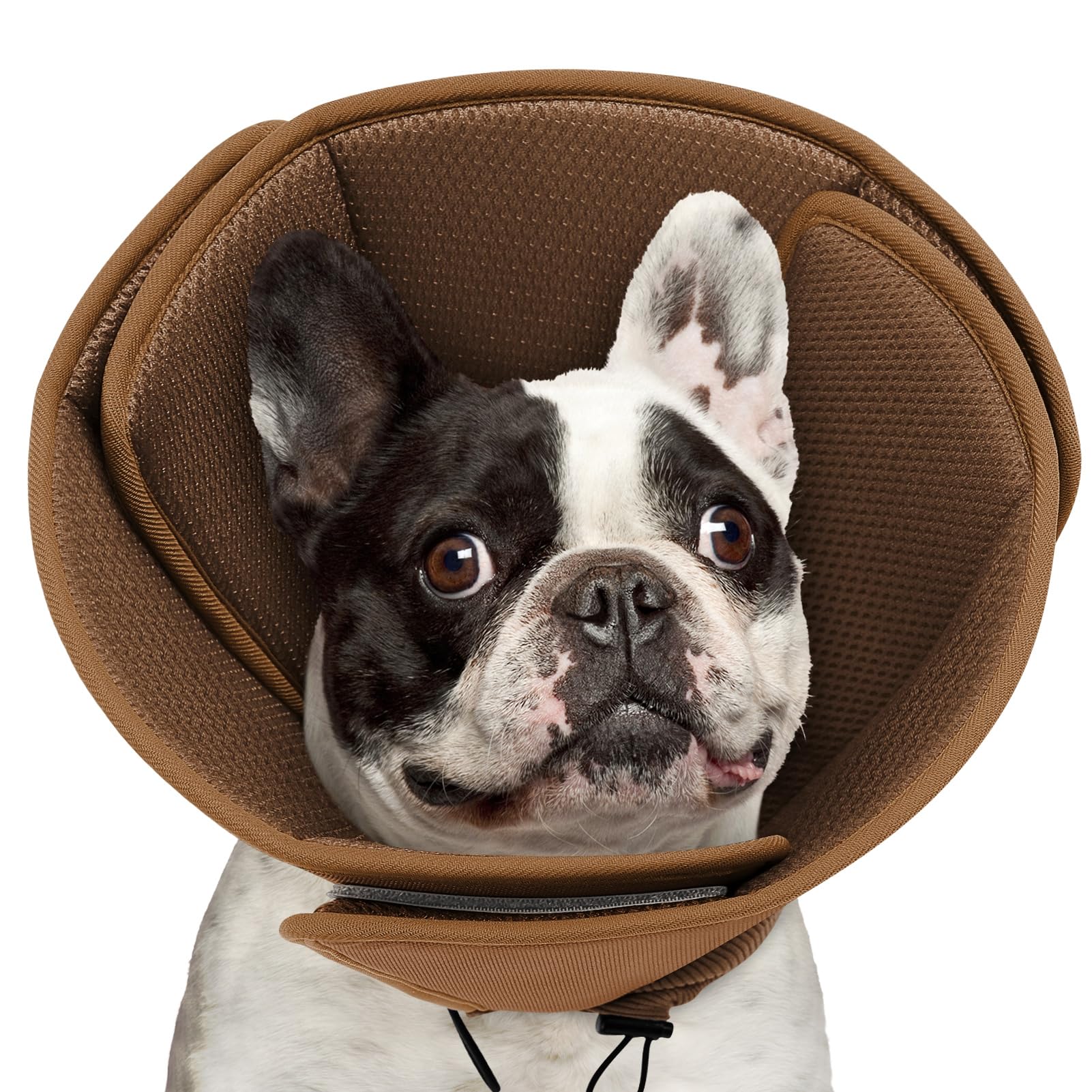 Photo 1 of Queenmore Soft Dog Cone Collar,Comfortable Cones for Small Dogs/Cat to Stop Licking After Surgery, Comfy Elizabethan Collars, Neuter Recovery Ecollars of Shame Alternatives,Coffee,M