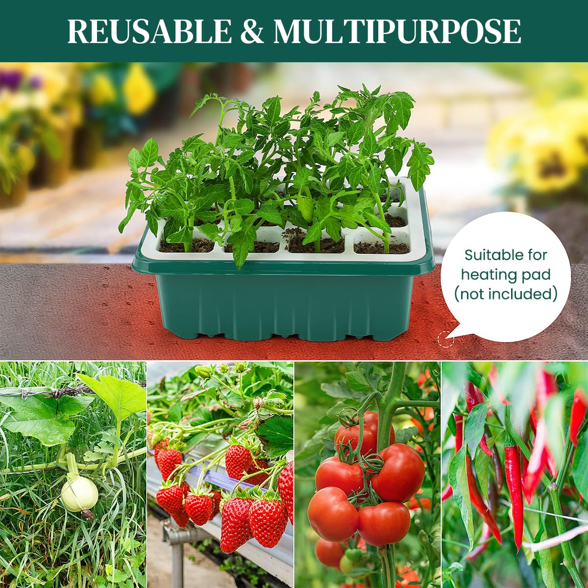 HASTHIP Seed Starter Tray - 12 Pots, FREE SHIPPING -4