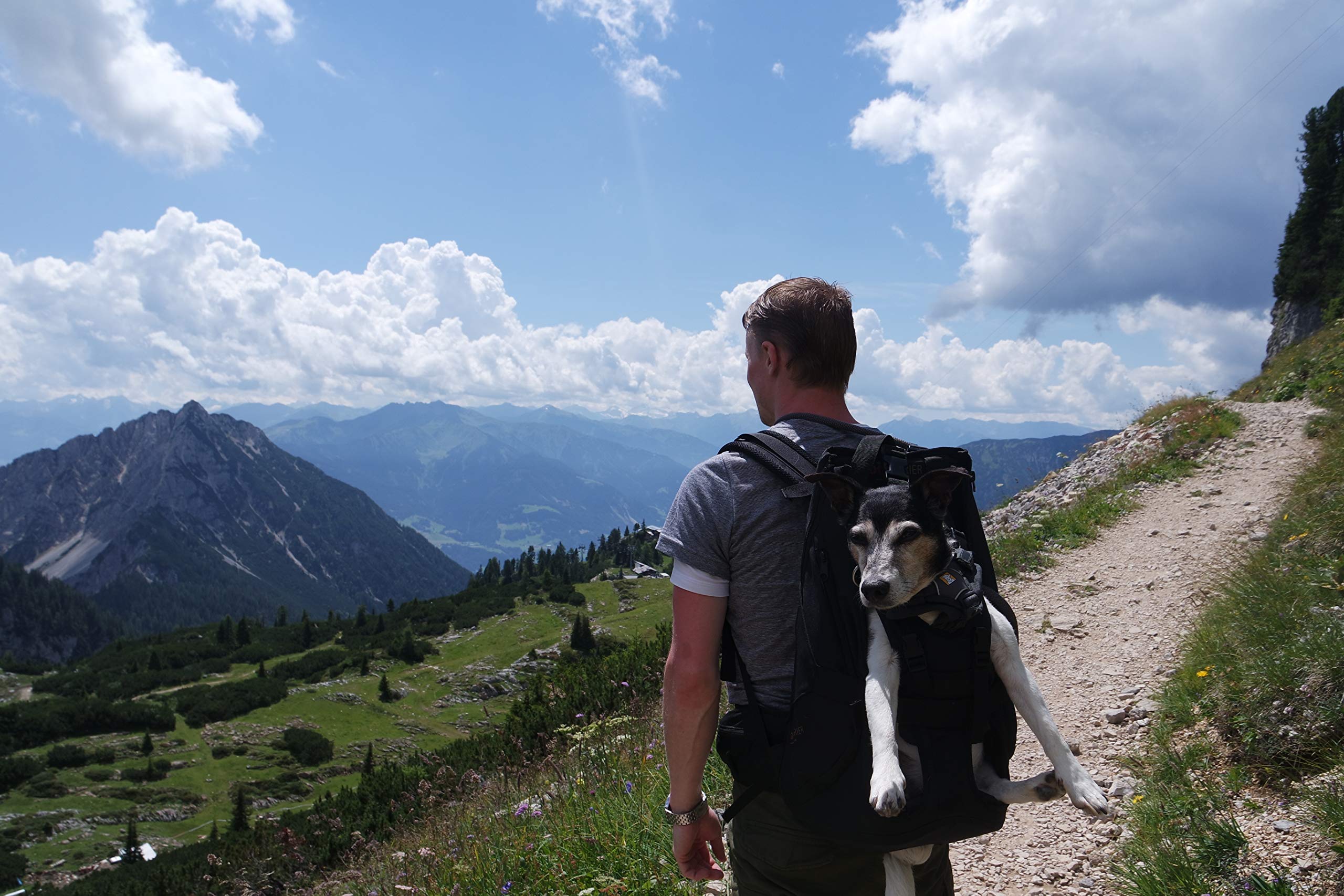 Dog Carrier Mochila para perros de alta calidad como bolsa de transporte para perros de 8 a 16 kg