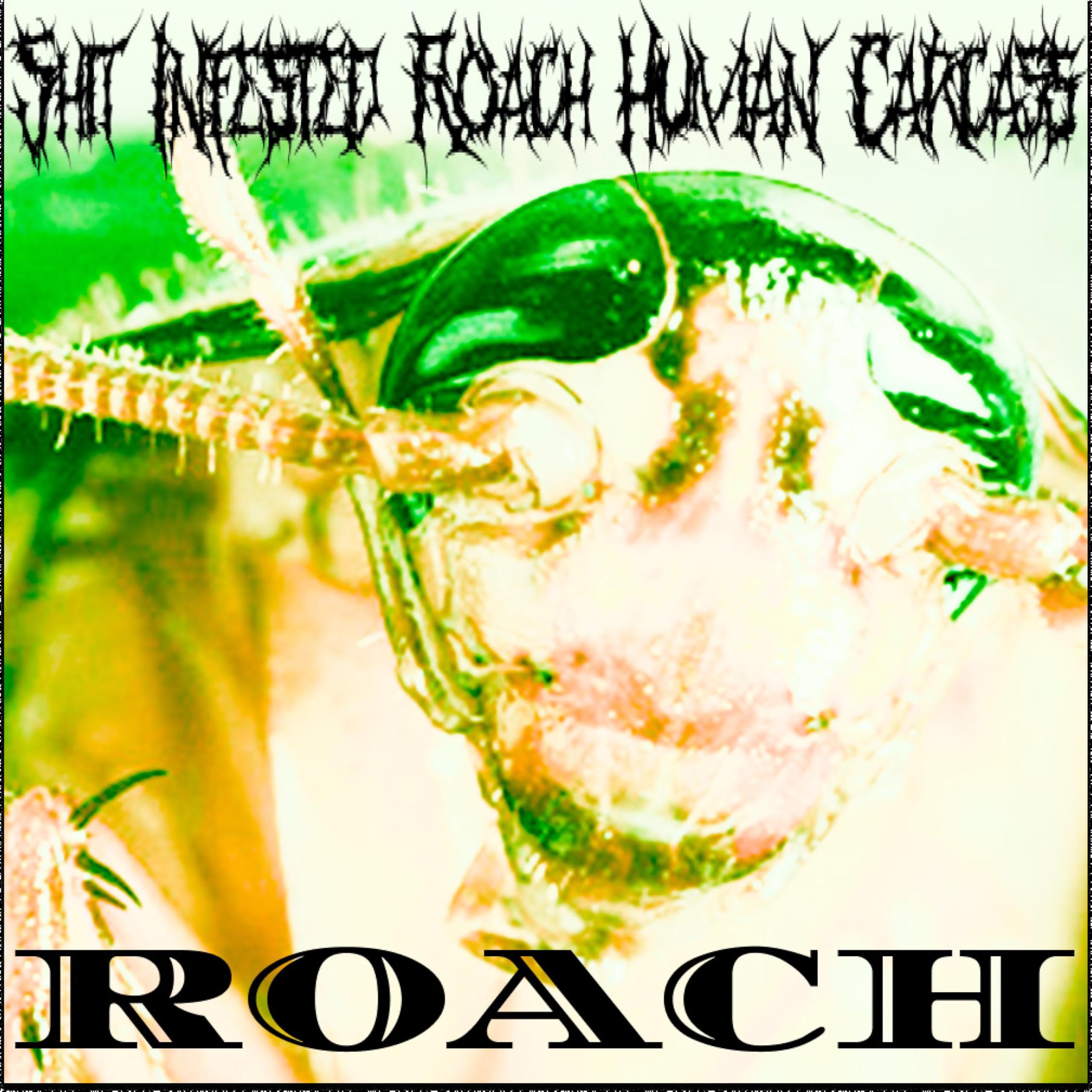 Shit Infested Roach Human Carcass