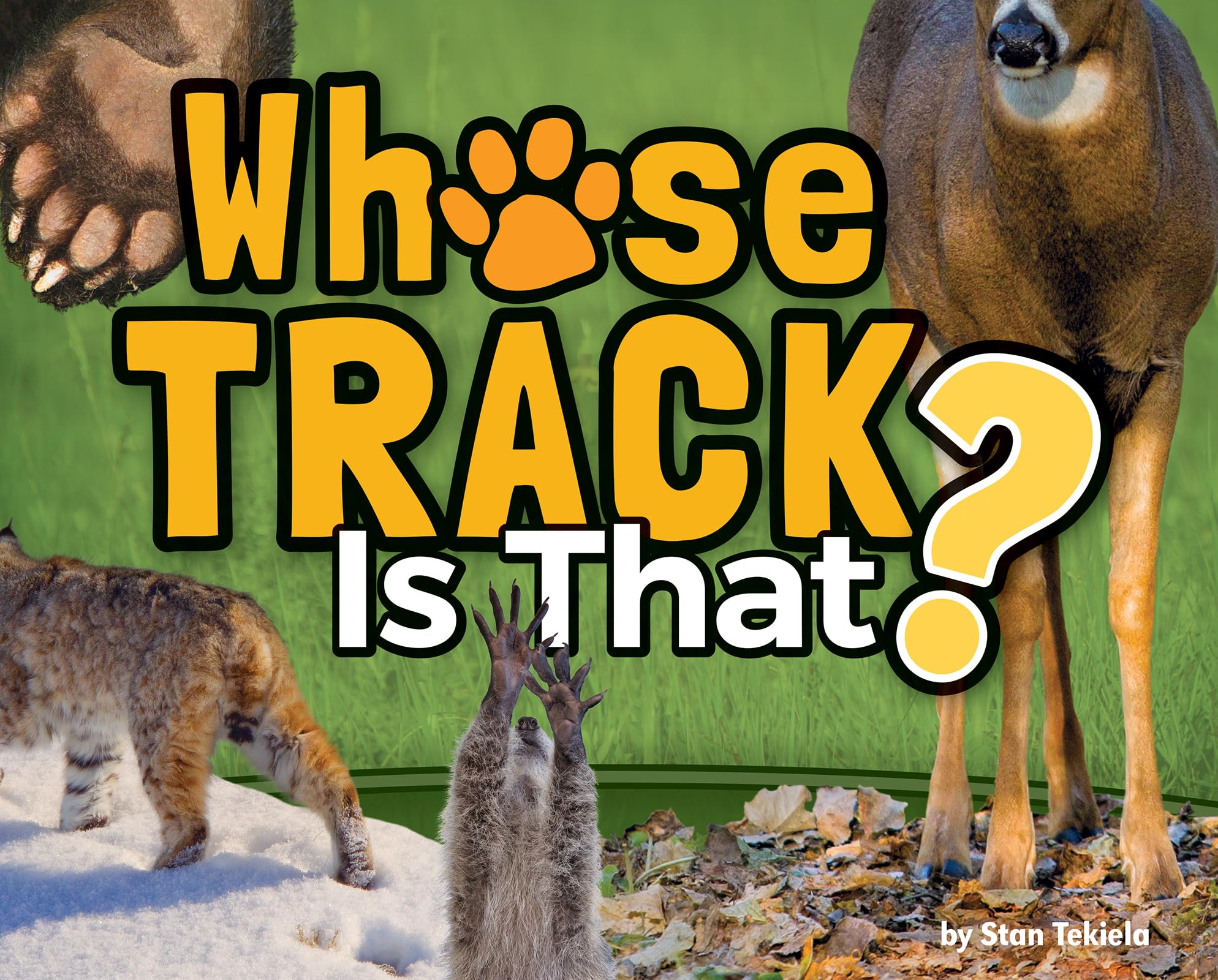 Whose Track Is That? (Wildlife Picture Books)