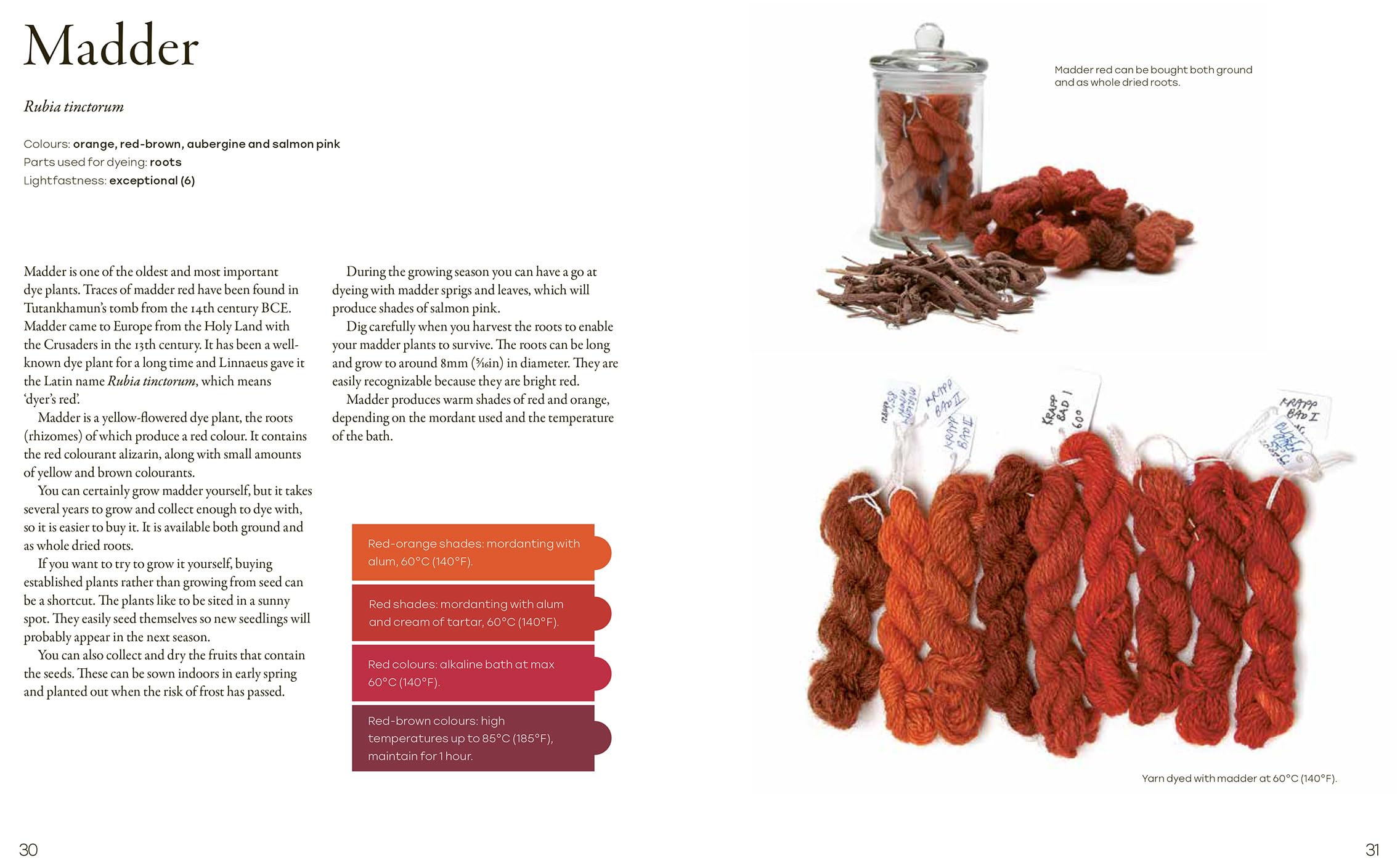 Natural Yarn Dyes: 25 Vibrant & Sustainable Recipes