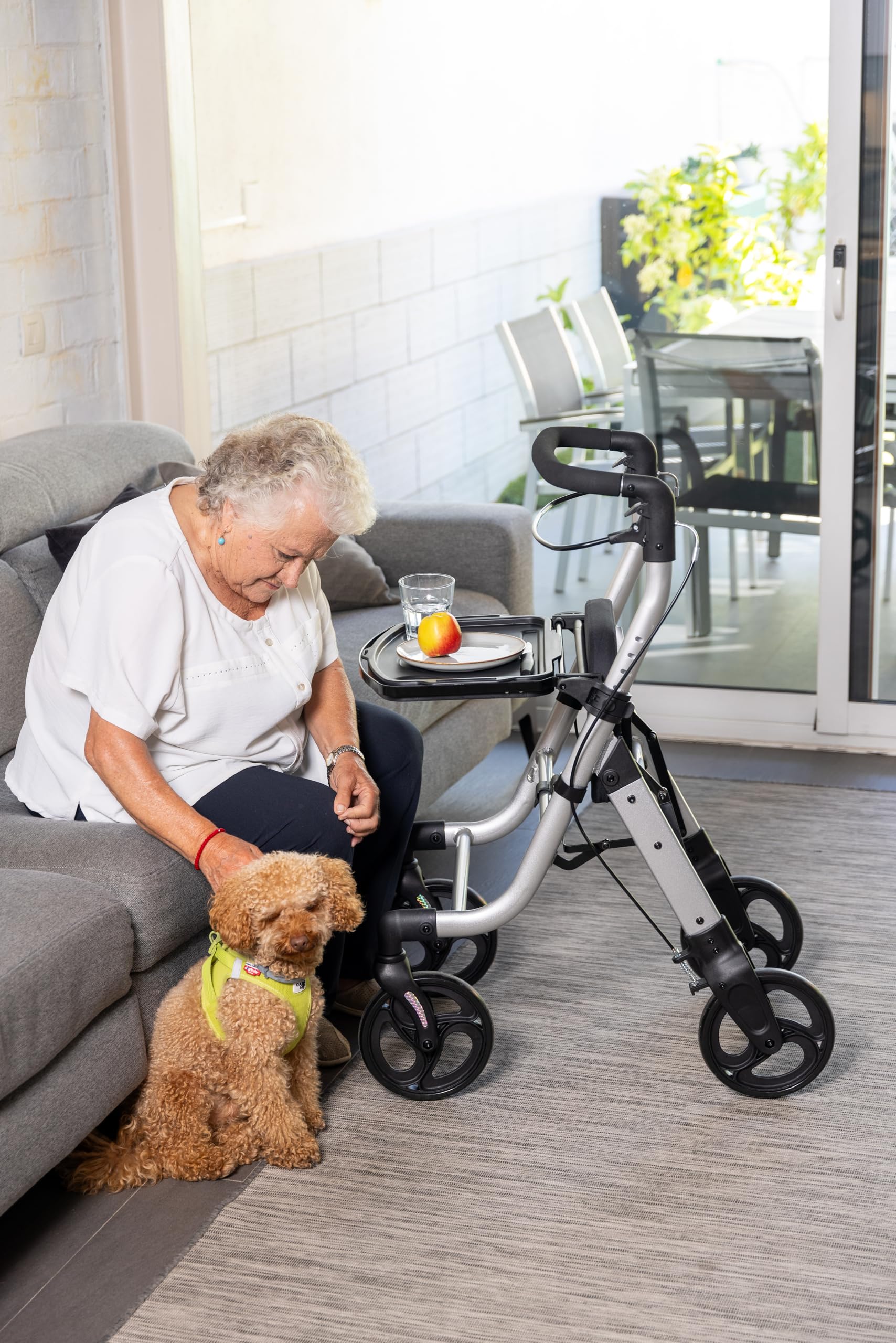 Carlett Andador con Asiento Plegable y Bolsa Extraíble, Producto Médico Homologado EU, Ruedas Grandes 20 cm, Freno de Parking y Manillar Regulable, Ideal para Interior y Exterior, Lett Walk, Negro