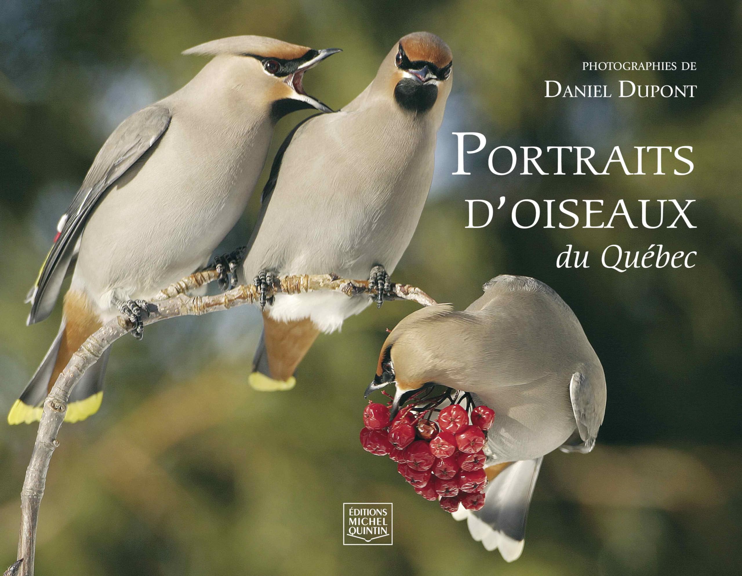 Portraits d'oiseaux du Québec [Paperback] Leboeuf, Michel and DUPONT, DANIEL