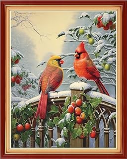 Dimensean Stamped Cross Stitch Kits Full Range of Embroidery Patterns Starter Kits for Beginners Adult or Kids DIY Cross Stitches Needlepoint Kits 11CT-Parrot Snow Scenery 16x20 inch - Buy now