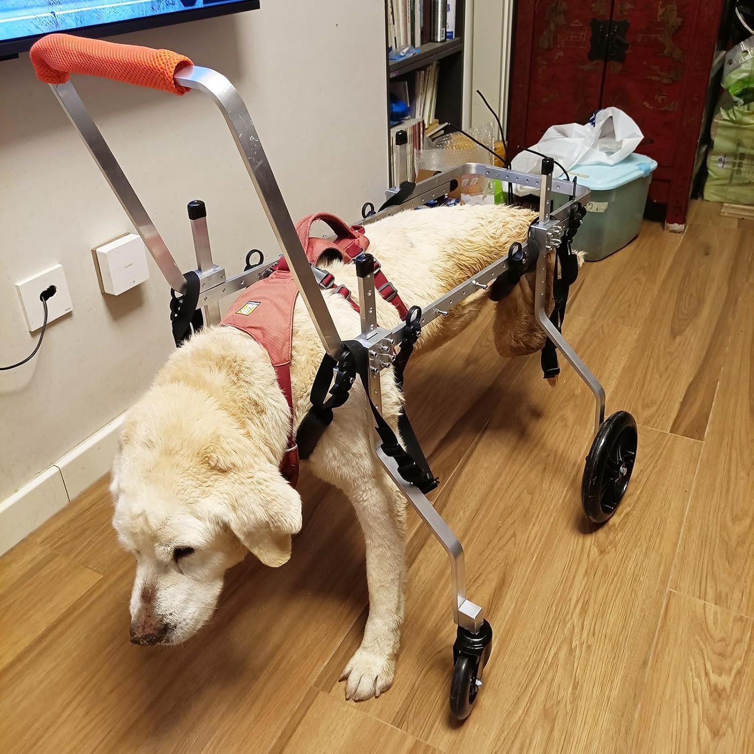 Adjustable Disabled Dog Wheelchairs - Front Back Legs Support Assist, Lightweight Pet Bike Trailer Carts - Extra Large Size
